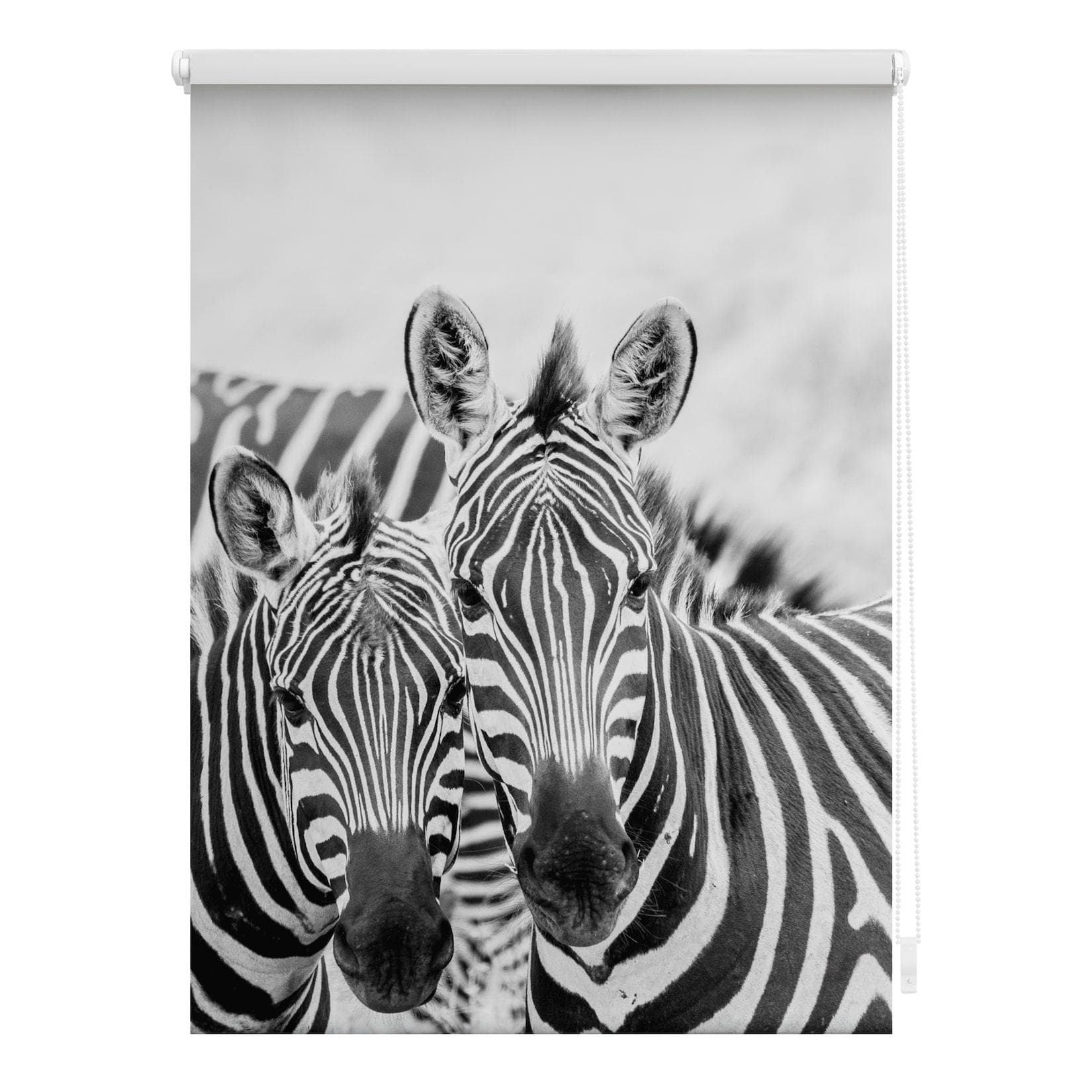 LICHTBLICK Klemmfix Seitenzugrollo Zebra Motiv Schwarz-Weiß
