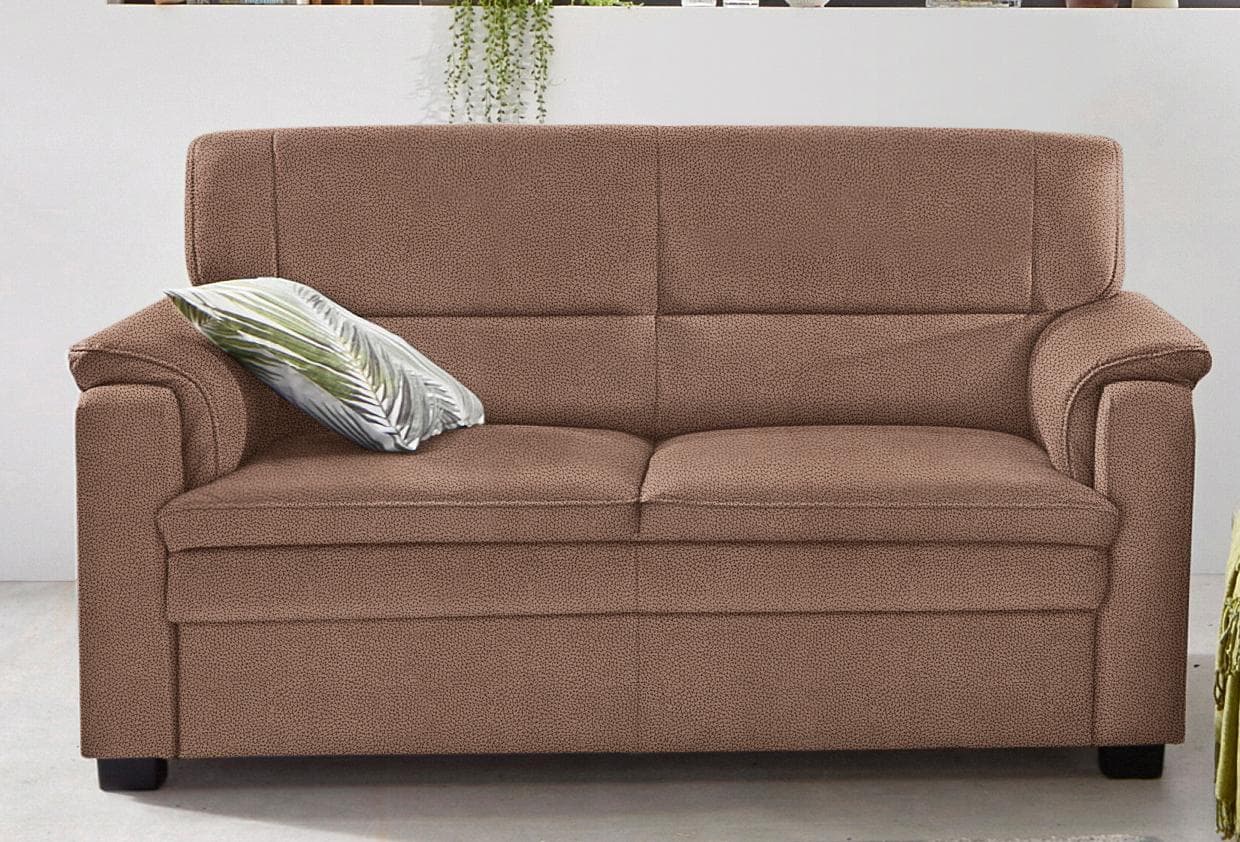 SIT & MORE Sofa Pisa 2-Sitzer Braun Luxus-Microfaser