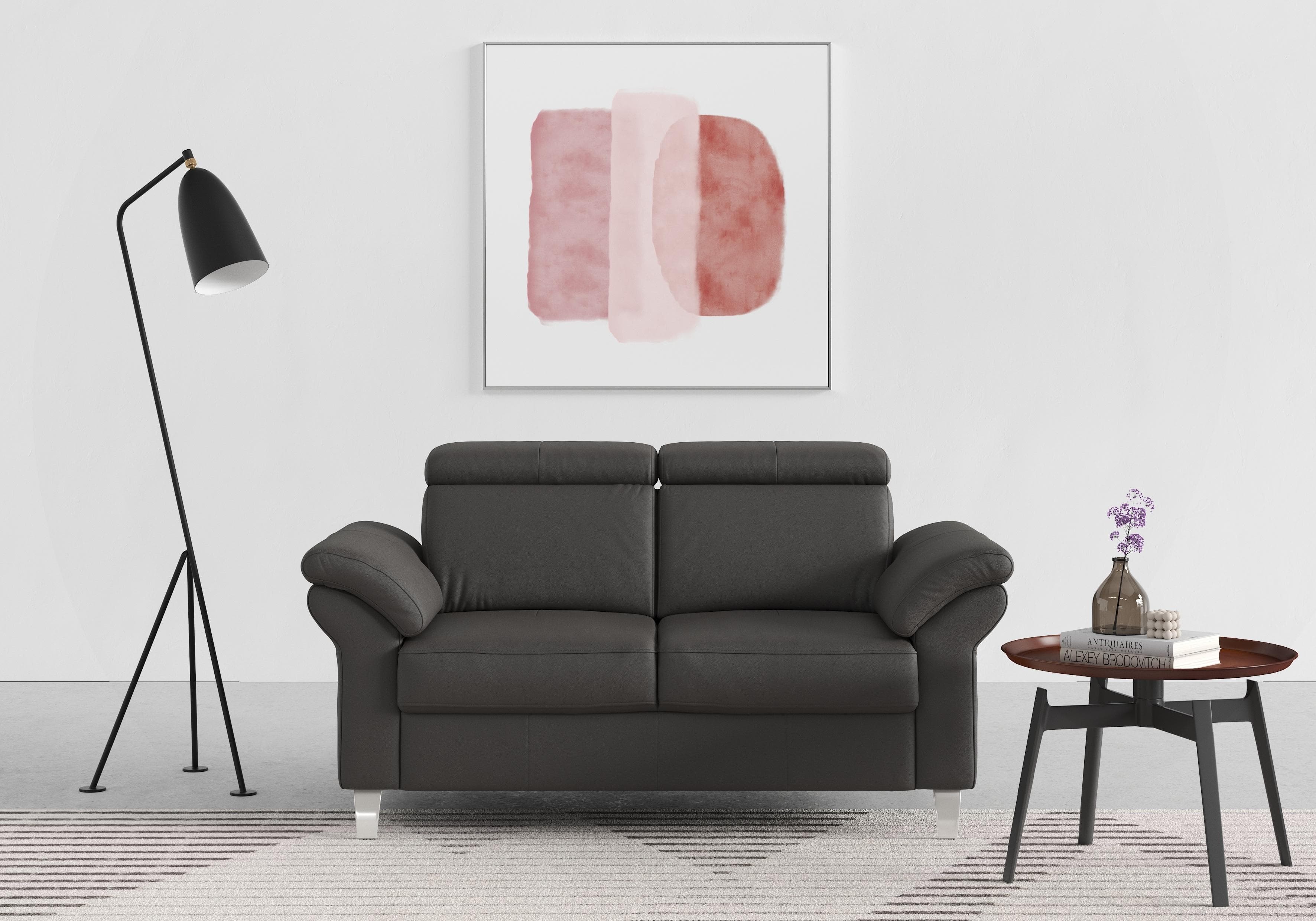 SIT & MORE 2-Sitzer Sofa Arngast Mocca NaturLEDER Federkern