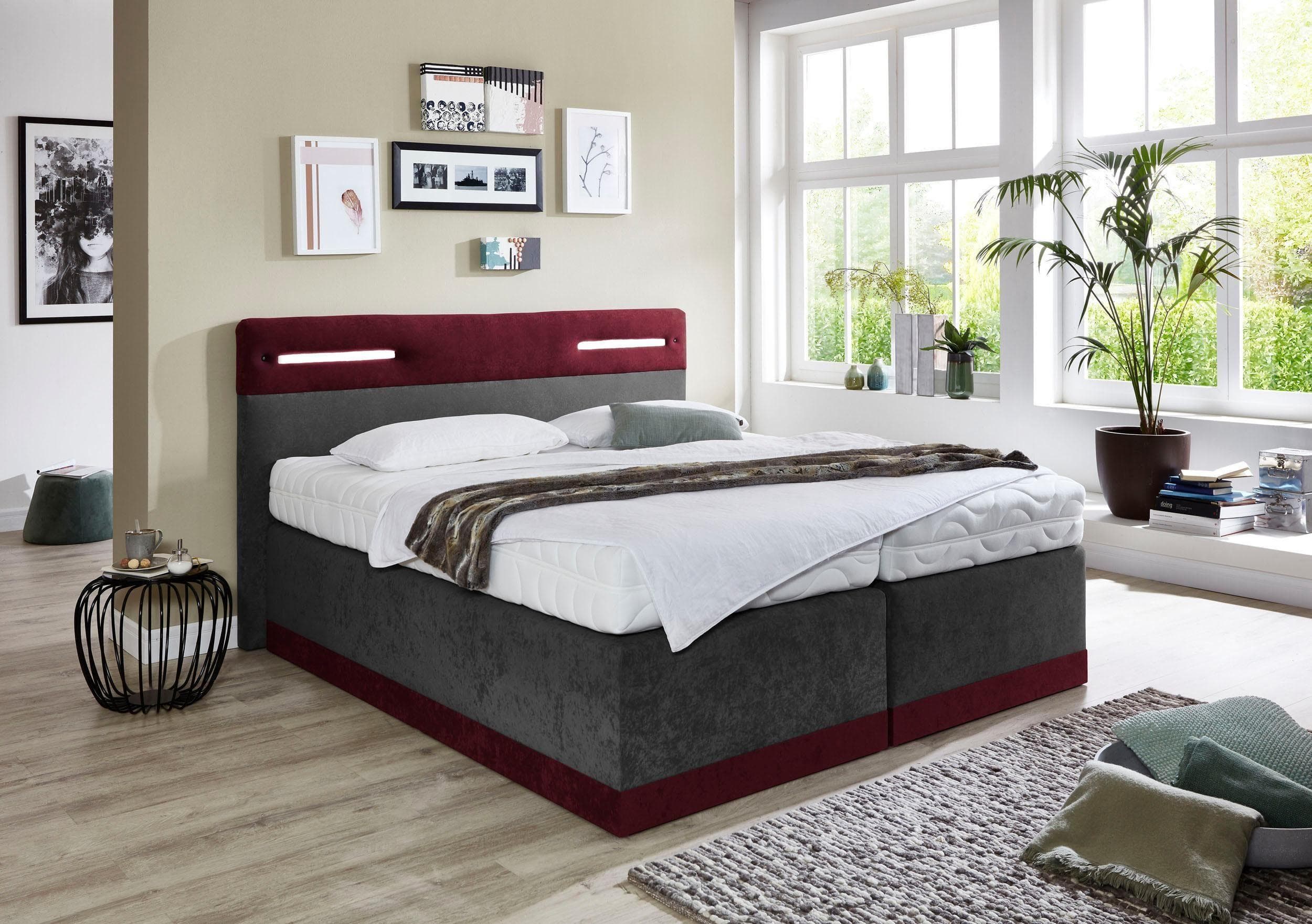 Boxspringbett rot anthrazit Kaltschaum-Topper H3 5-Zonen-Federkern