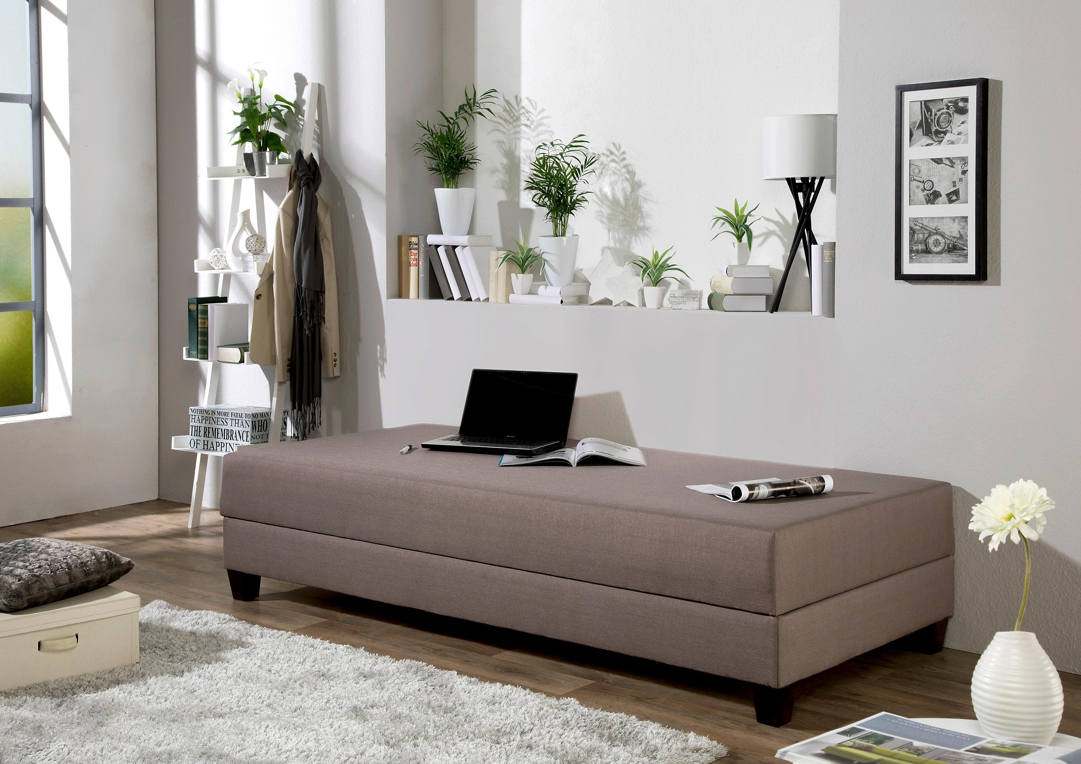 Gästebett MAINTAL Taupe/Schwarz mit Bettkasten und 5-Zonen-Matratze
