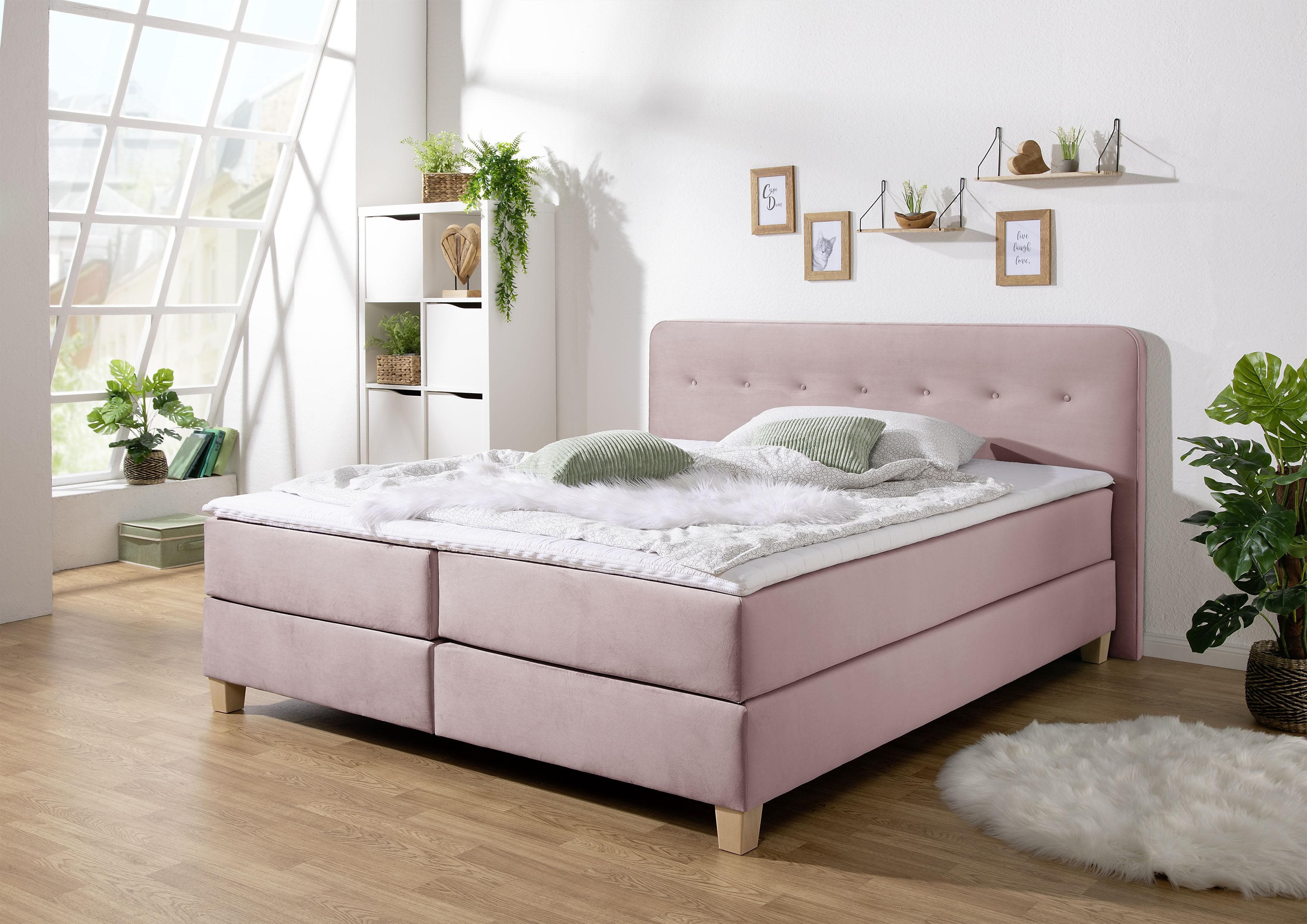 Boxspringbett HOME AFFAIRE Fargo Lila Samtstoff mit Topper