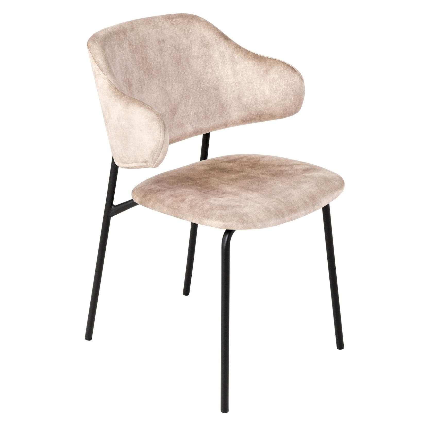riess-ambiente Stuhl VOGUE Champagner-Greige Samt Schwarze Metallbeine Retro