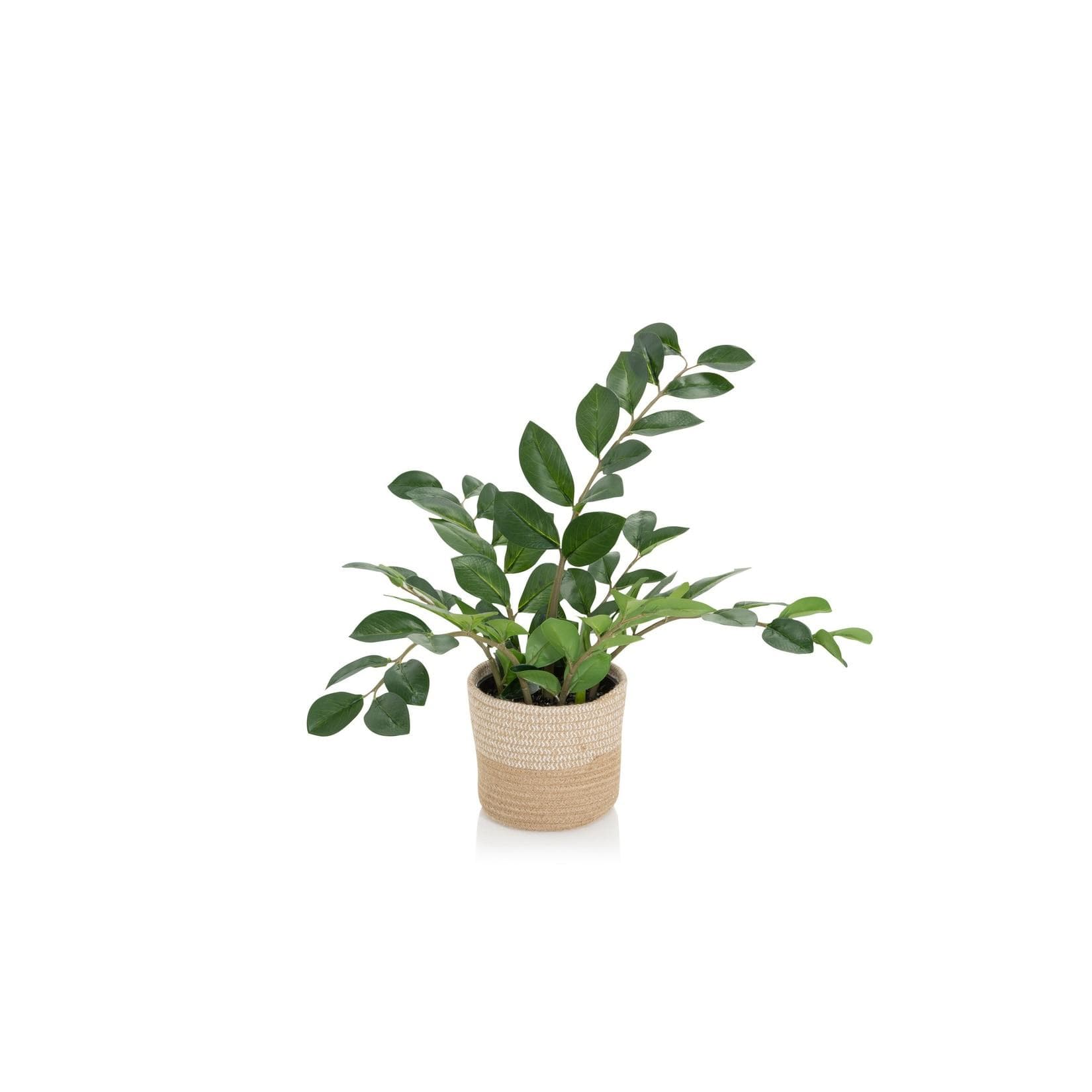 hjh OFFICE Kunstpflanze ZAMIE Zamioculcas im Rattan-Korb Grün