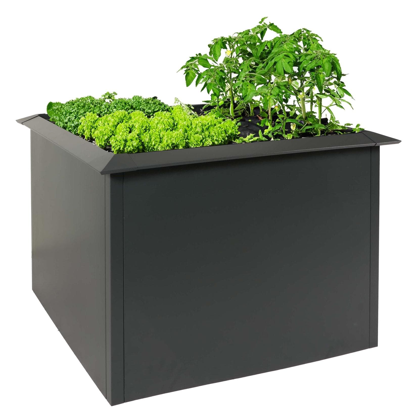 Hochbeet MCW-N24 Metallhochbeet Gemüsebeet Blumenkasten Pflanzkübel Schneckenkante 78x110x110cm Eisen 44kg Anthrazit