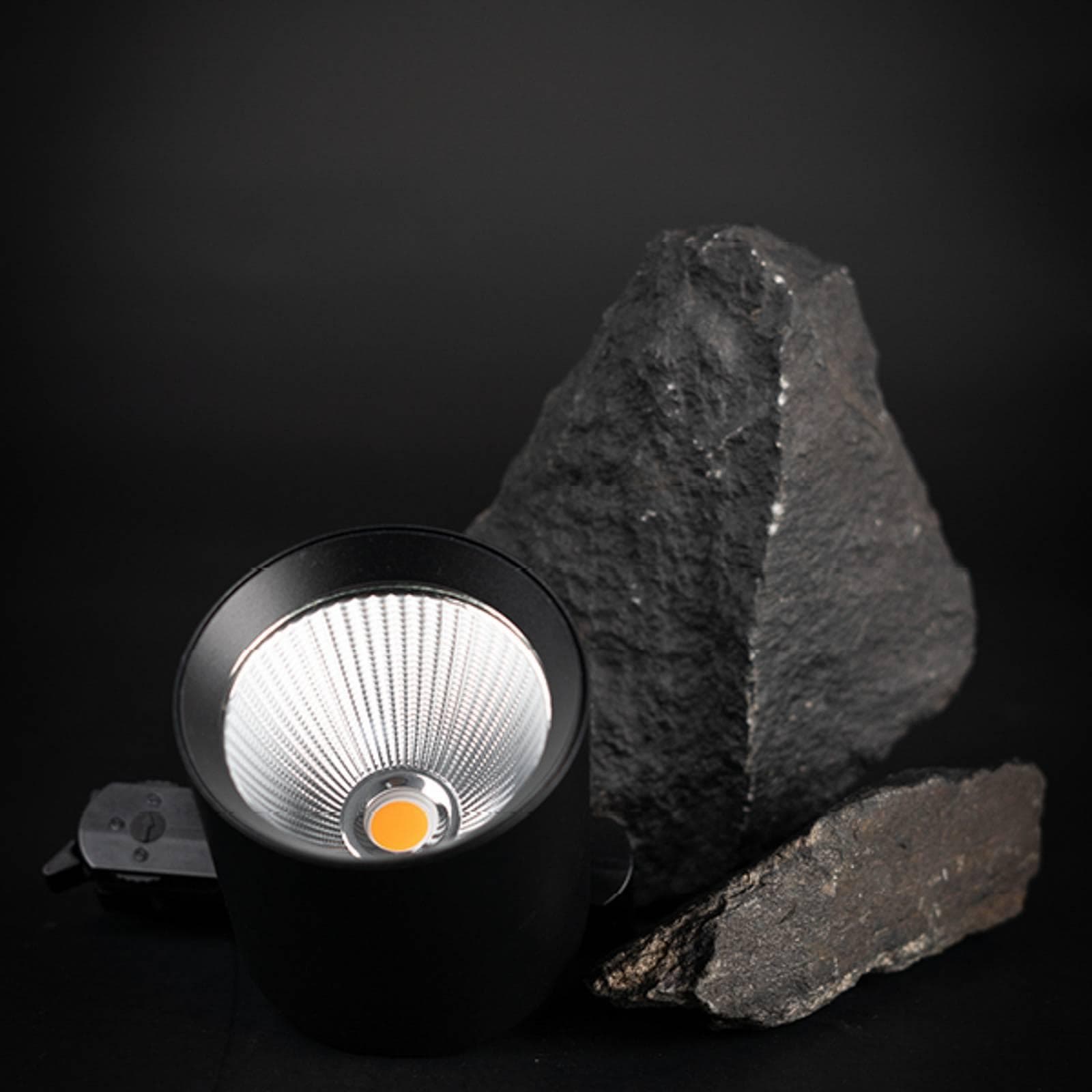 SLC LED-Schienenspot Fox Schwarz 3-Phasen-Schiene