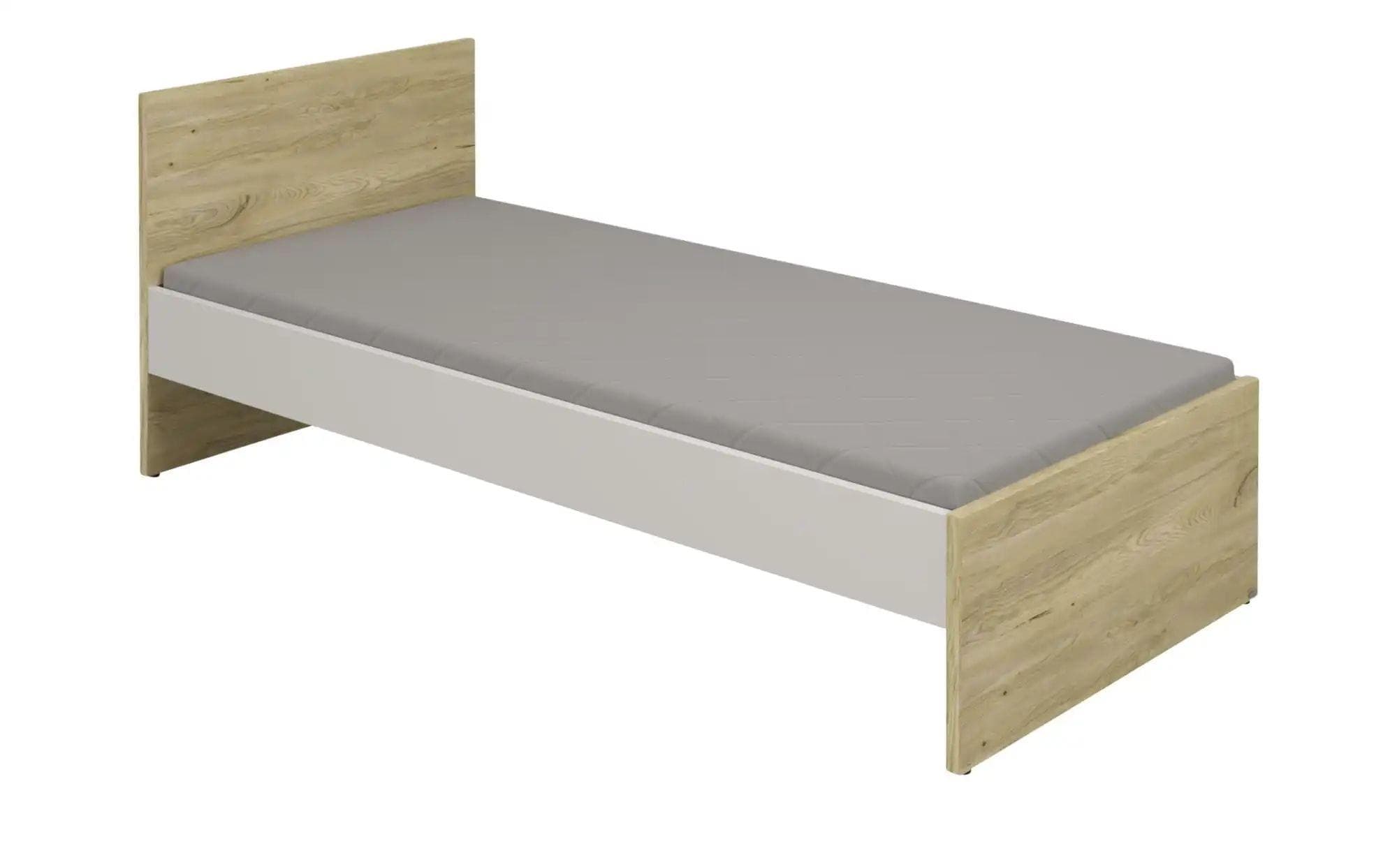 PAIDI Jugendbett Benne Grau Eiche-Montana-Dekor