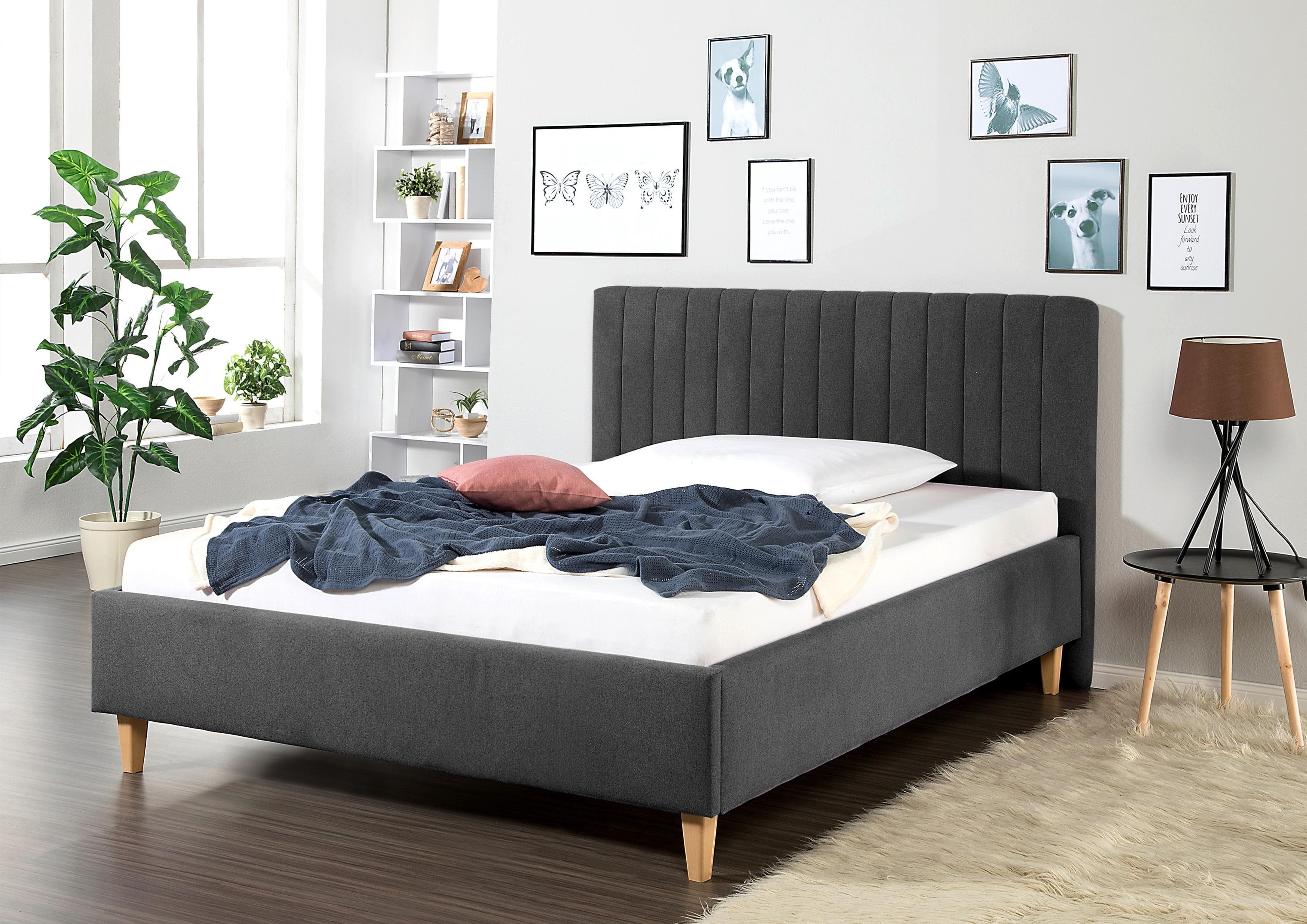 Polsterbett MAINTAL Friant Anthrazit mit Polsterung