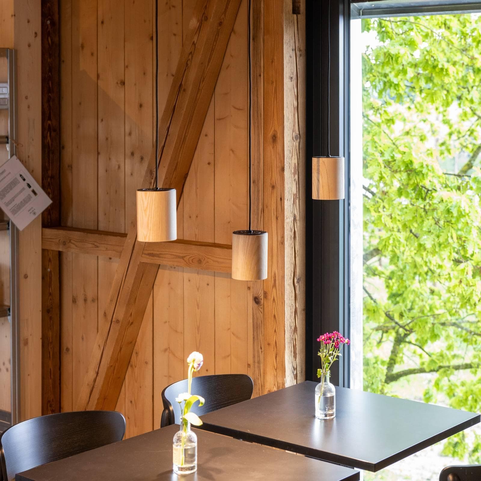 LTS Timba LED-Hängeleuchte 927 Abstrahlwinkel 42° Eschenholz