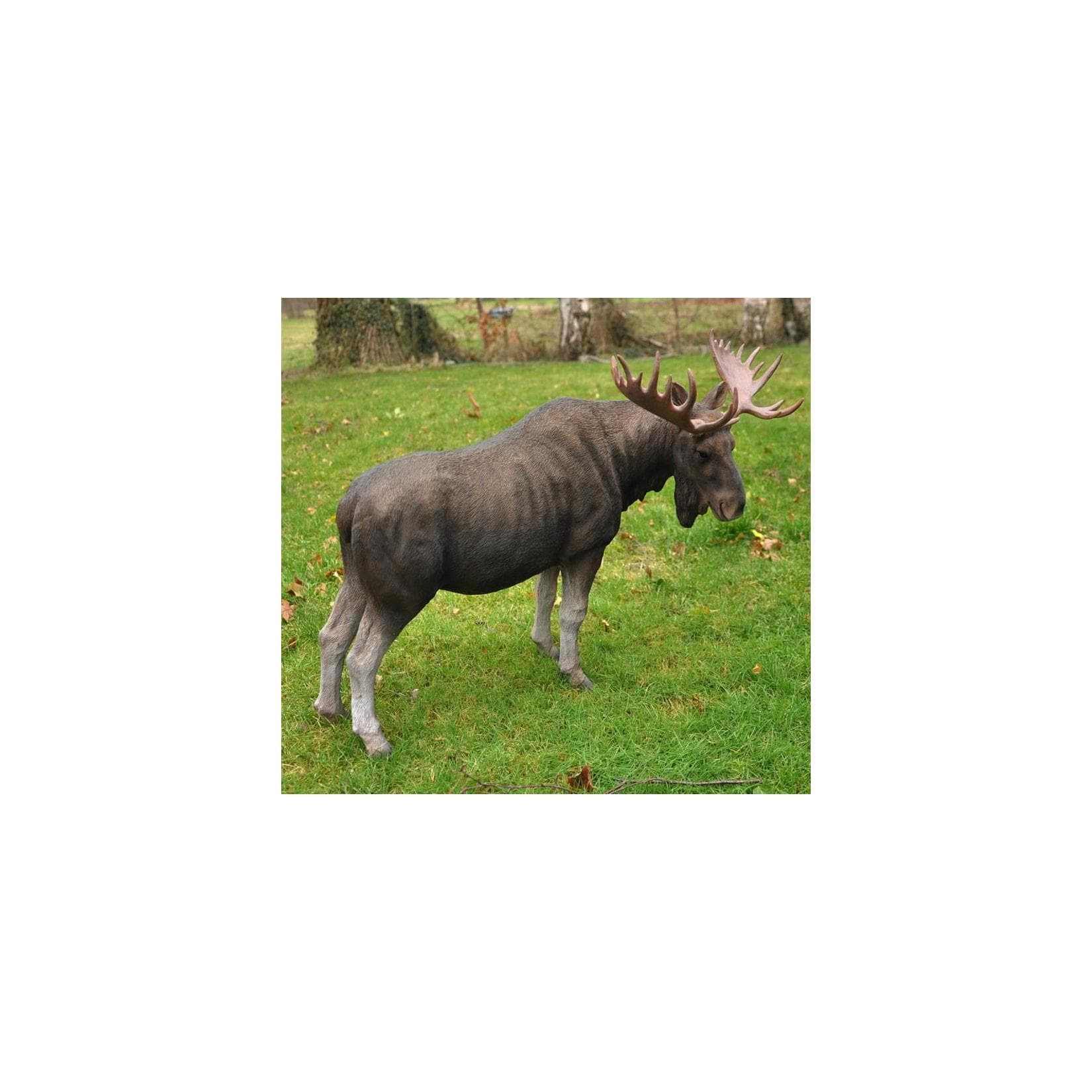 Dazikemo Dekofigur Gartenfigur Elch