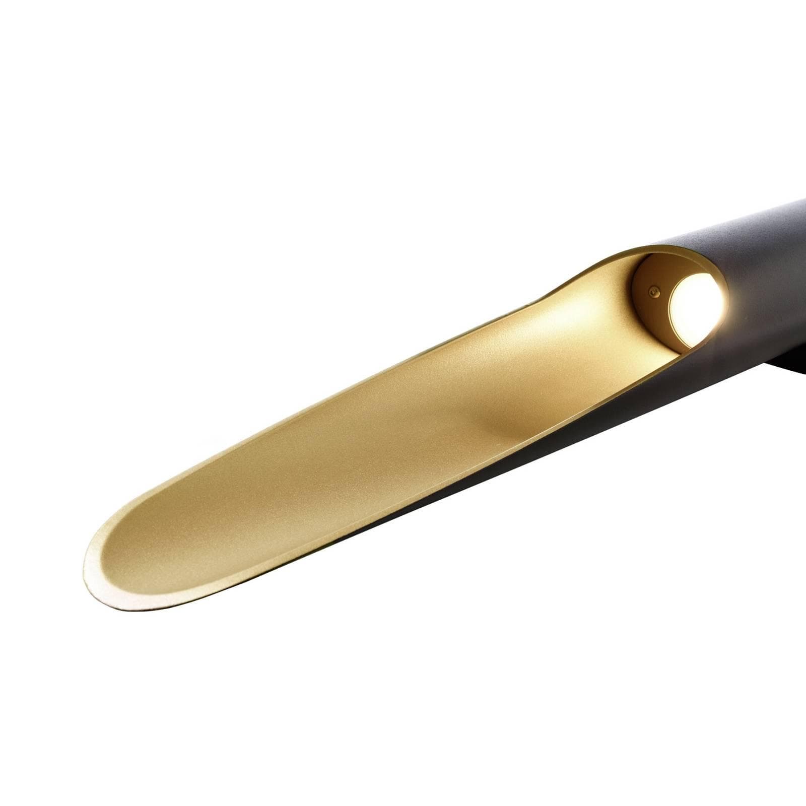 LED-Wandleuchte Apodis Schwarz/Gold Deko-Light