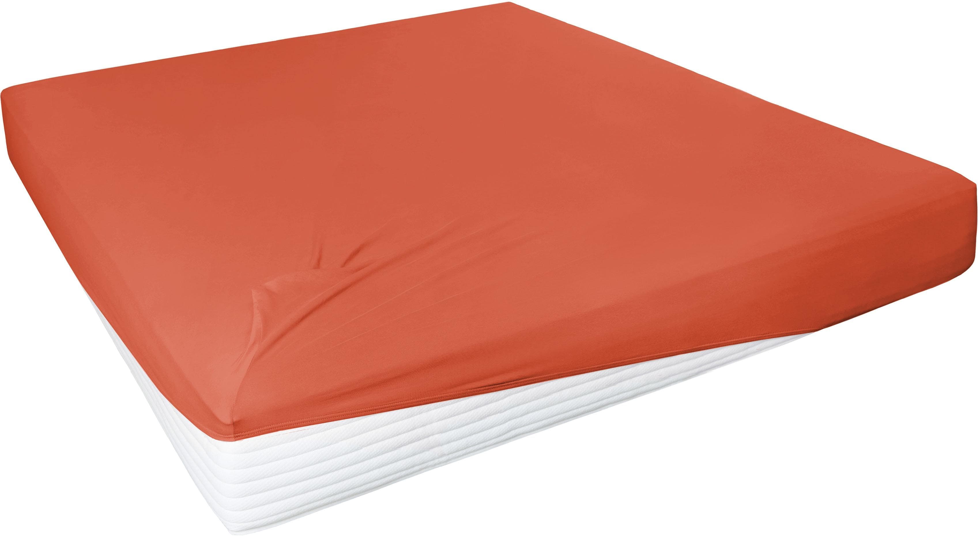 Primera Spannbettlaken Orange Jersey-Elasthan