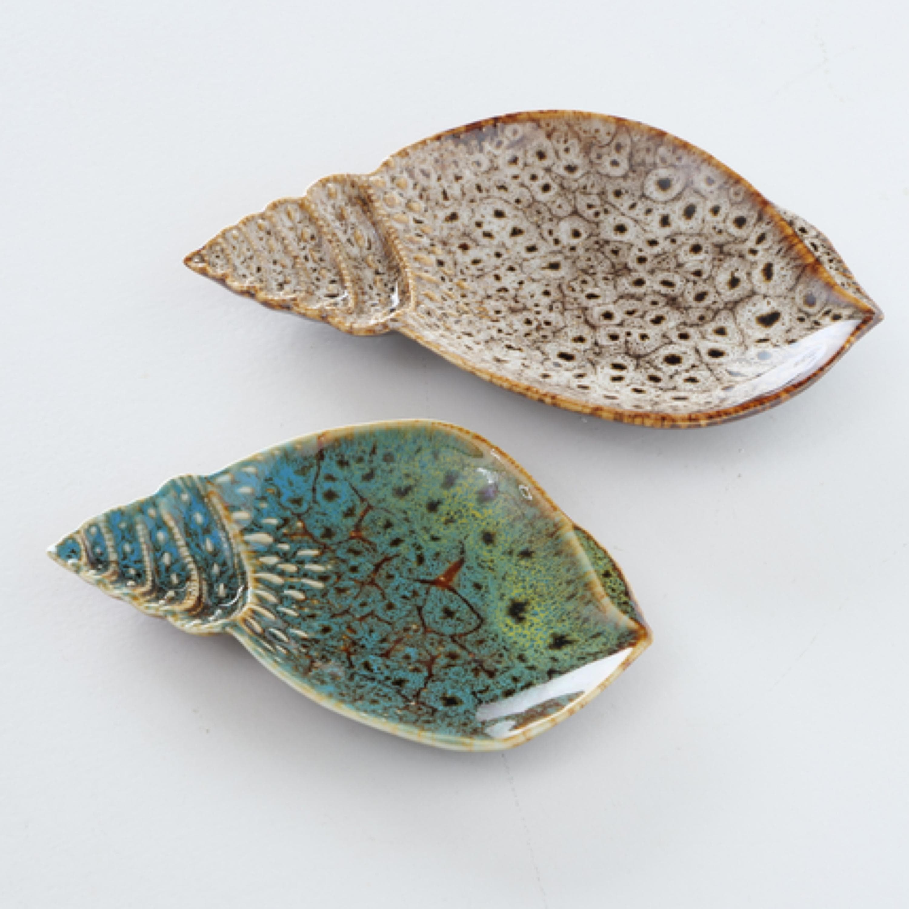 Teller MUSCHEL ALYSSA Porzellan Farbmix