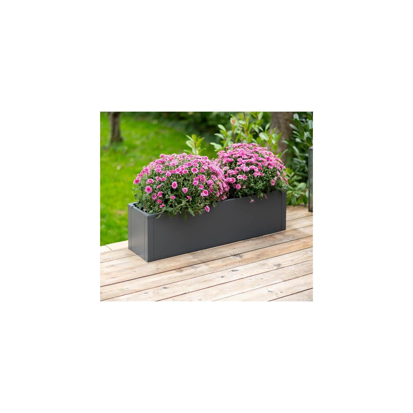 Westmann Metall Pflanzkübel Talus M Anthrazit Modern