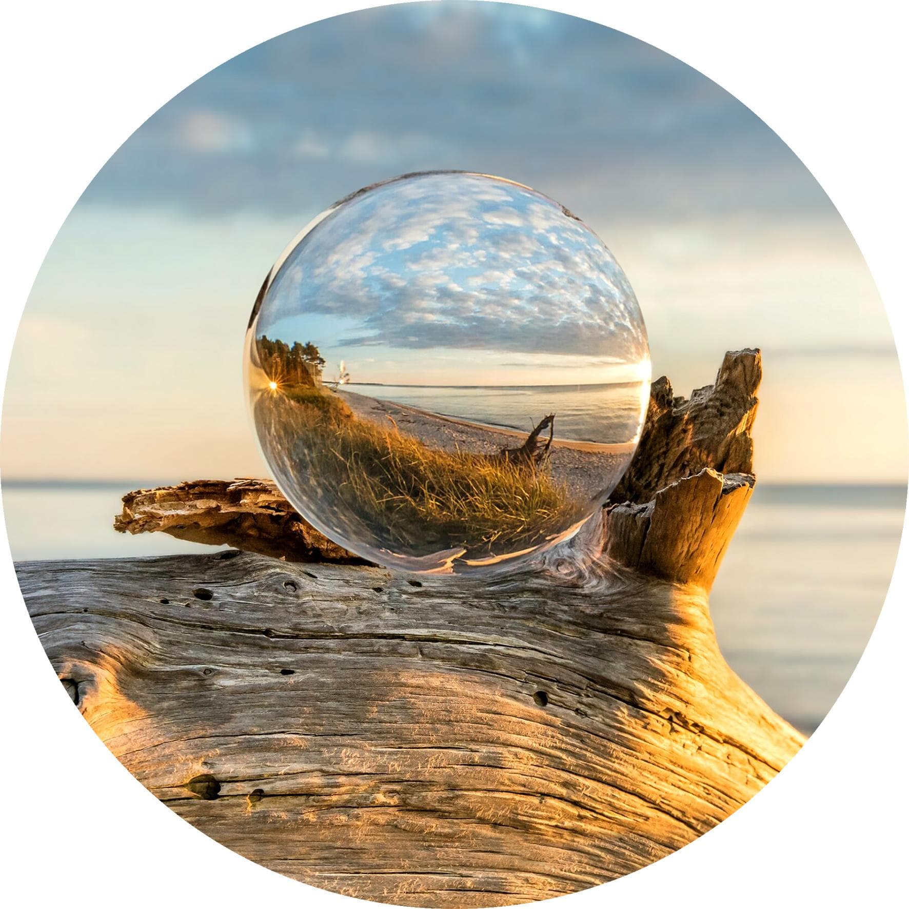 Glasbild DROP ON WOOD Mehrfarbig