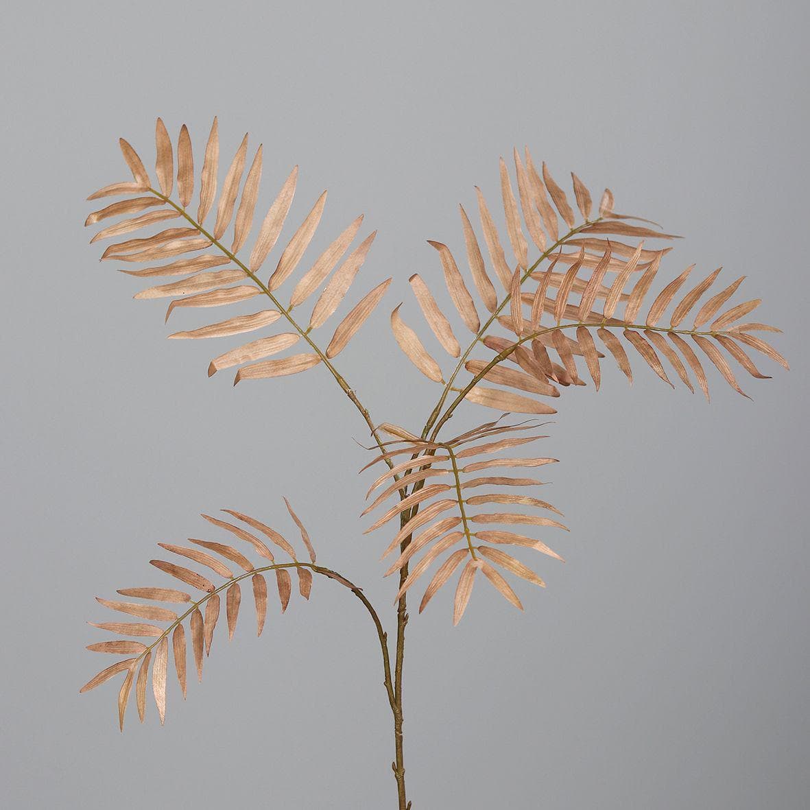 Kunstpflanze Chicozweig Braun DPI