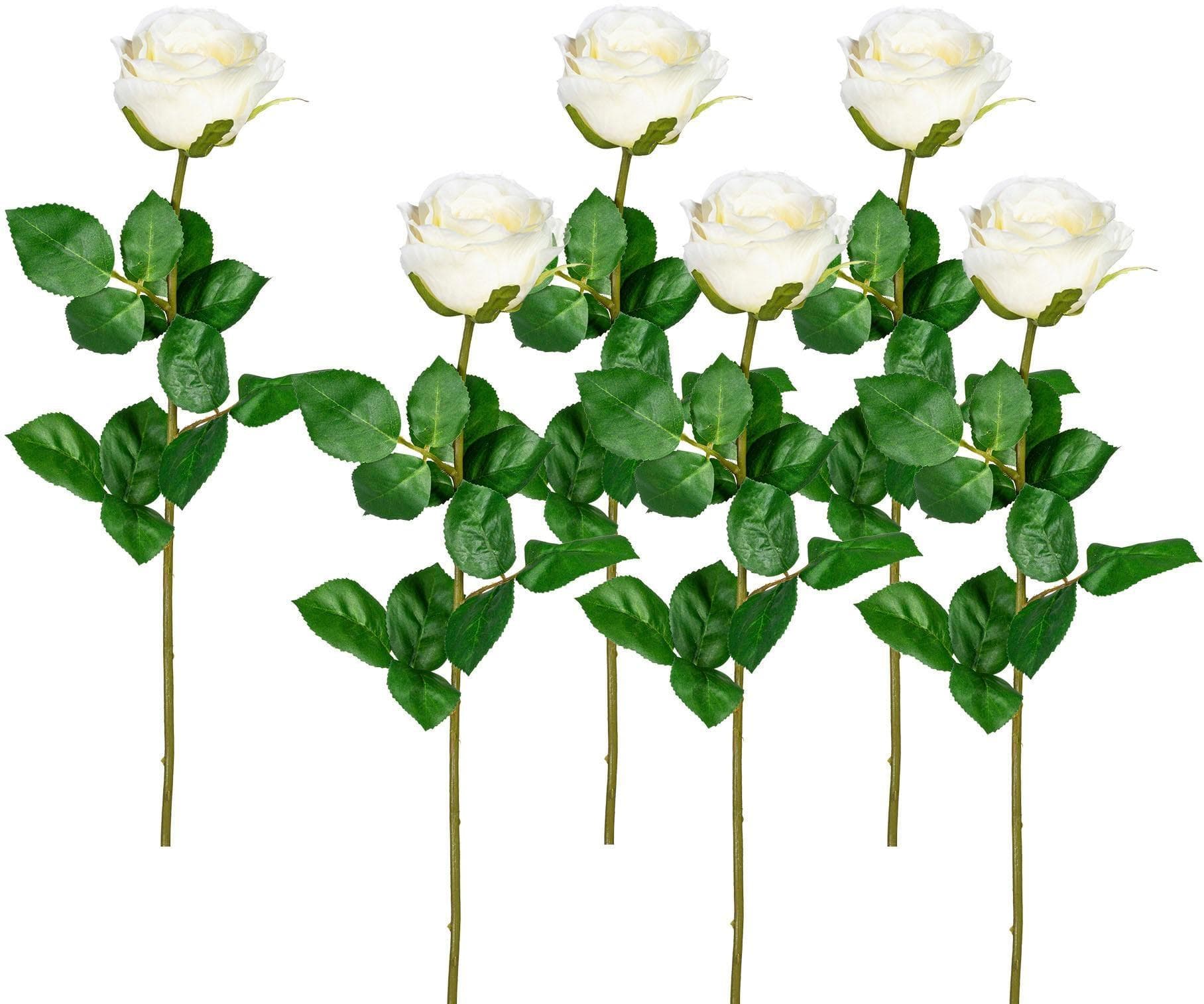Creativ Green Kunstblume Set 6-tlg. Beige Natur