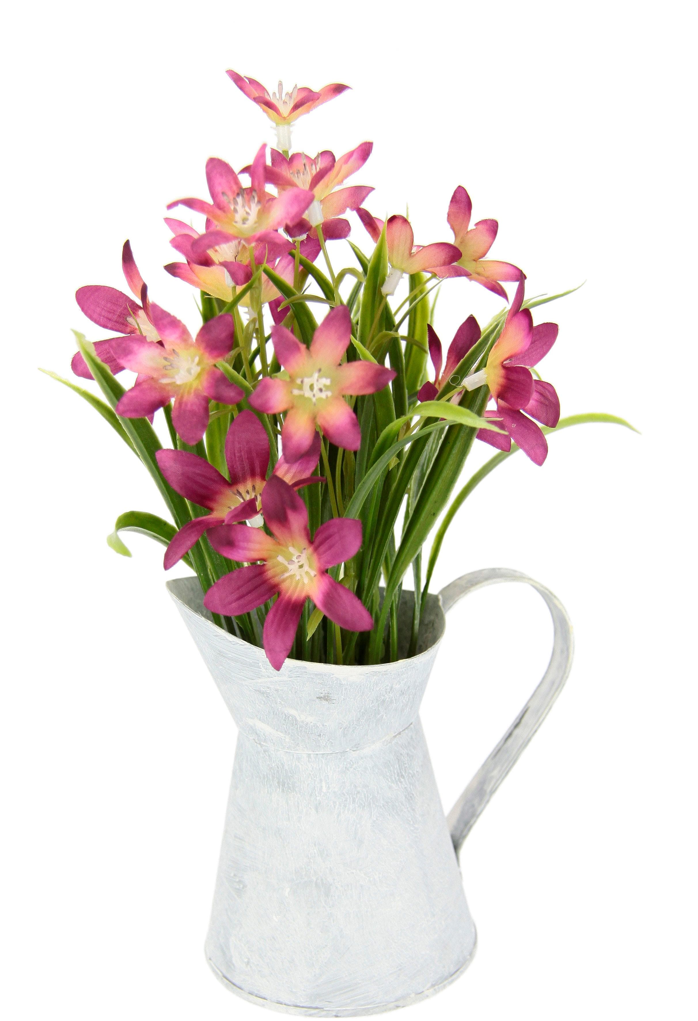 I.GE.A. Kunstblume Sternblume Metall Kanne Dekoration