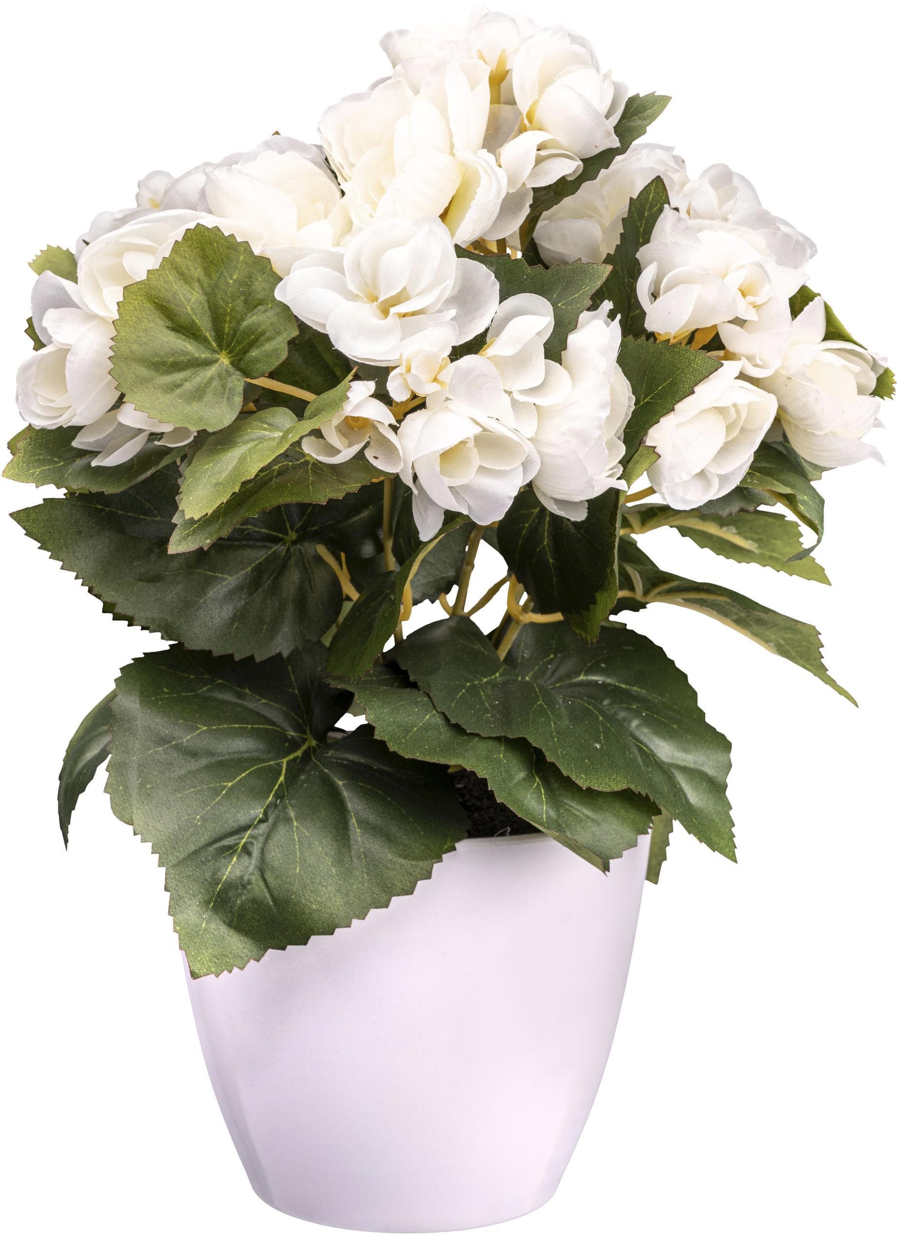 Creativ green Kunstblume Begonie Creme mit weißem Topf