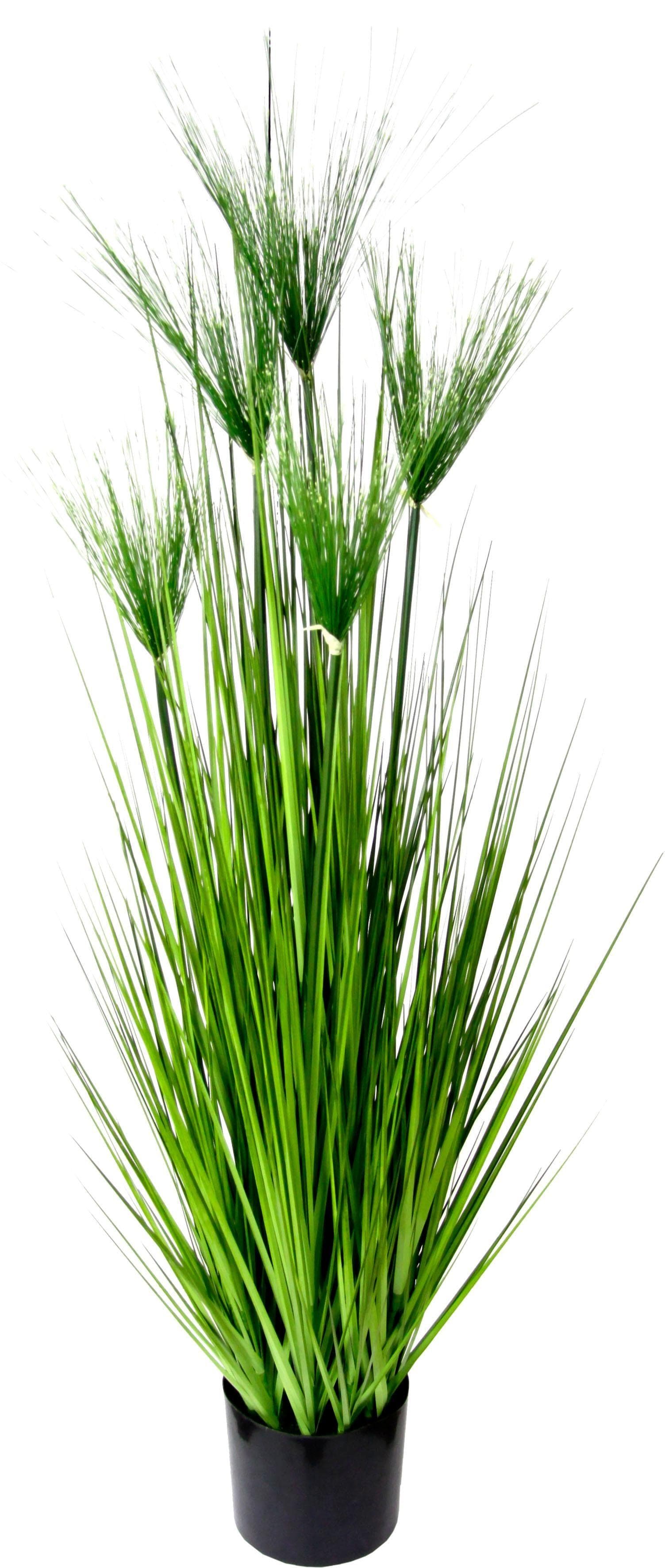 I.GE.A. Kunstpflanze Zyperngras im Topf - Pflegeleicht & Attraktiv