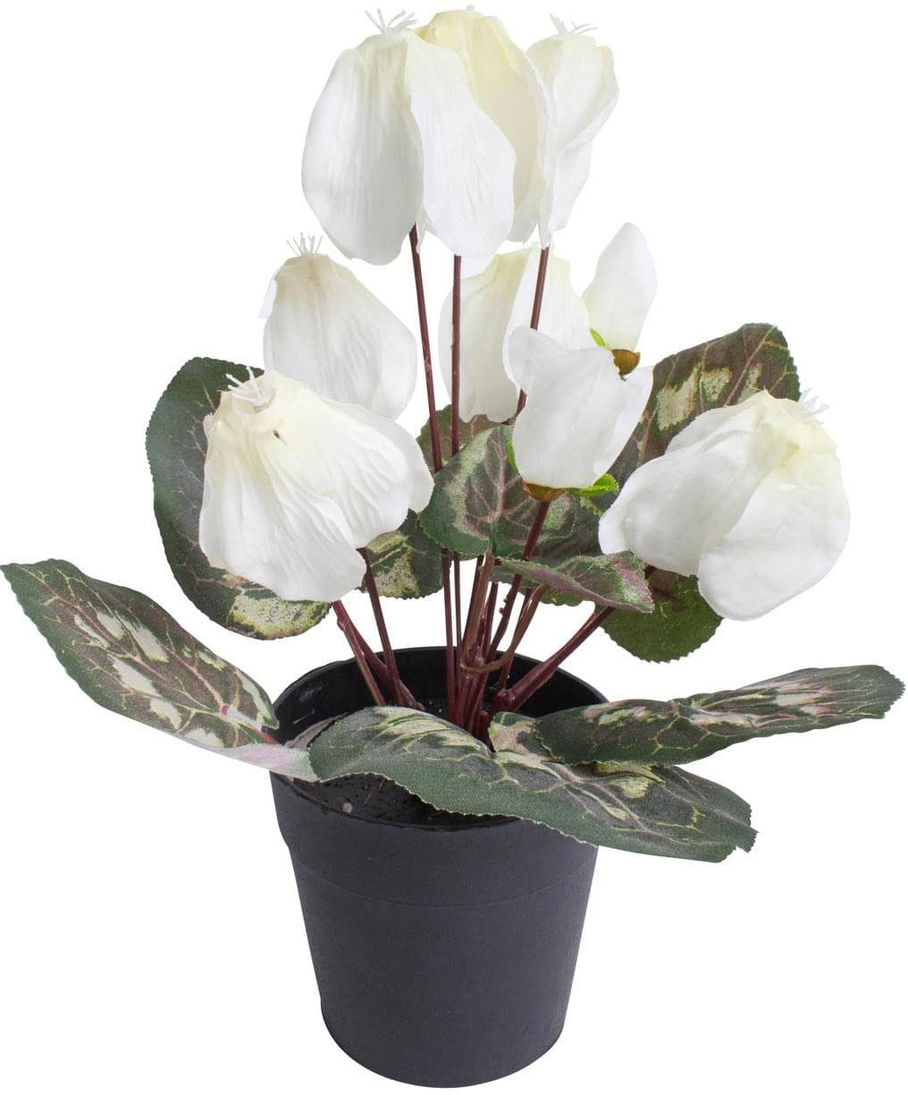 BOTANIC-HAUS Alpenveilchen Kunstblume Beige Weiß Textilfaser