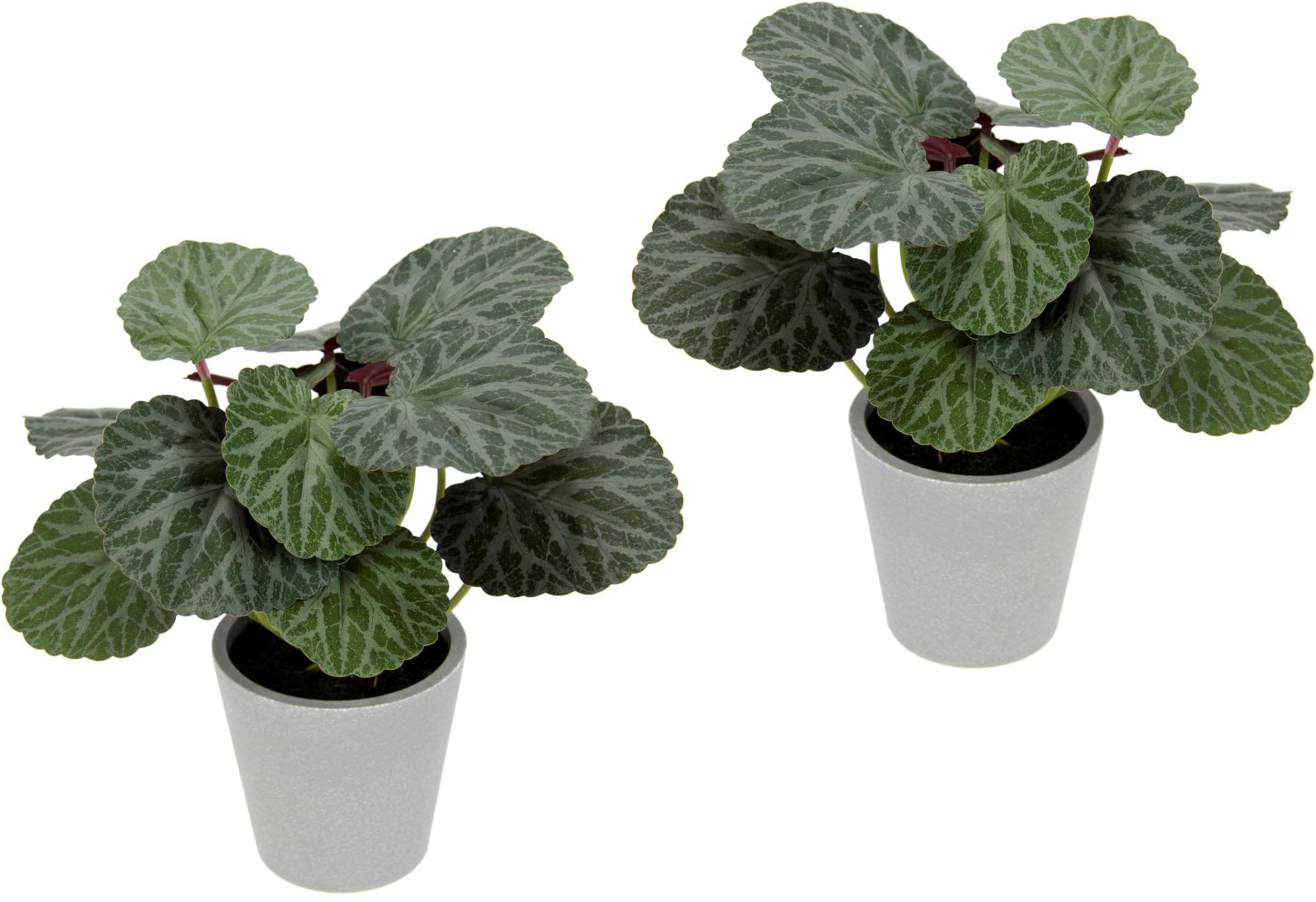 Künstliche Begonienblätter im Topf - I.GE.A. Dekopflanze für Balkon und Wohnraum