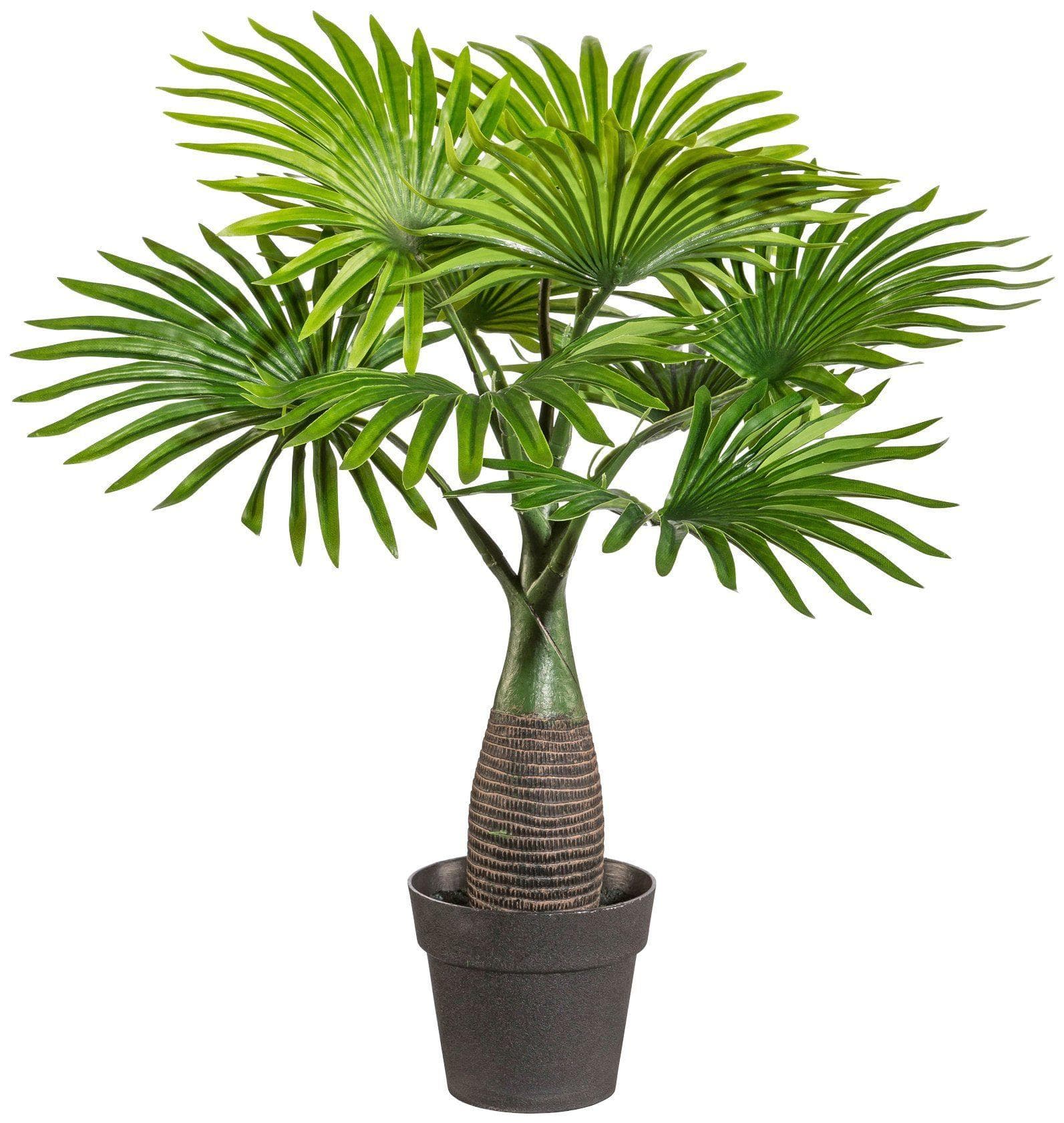 Creativ green Kunstpalme Palme Mini Grün 45cm