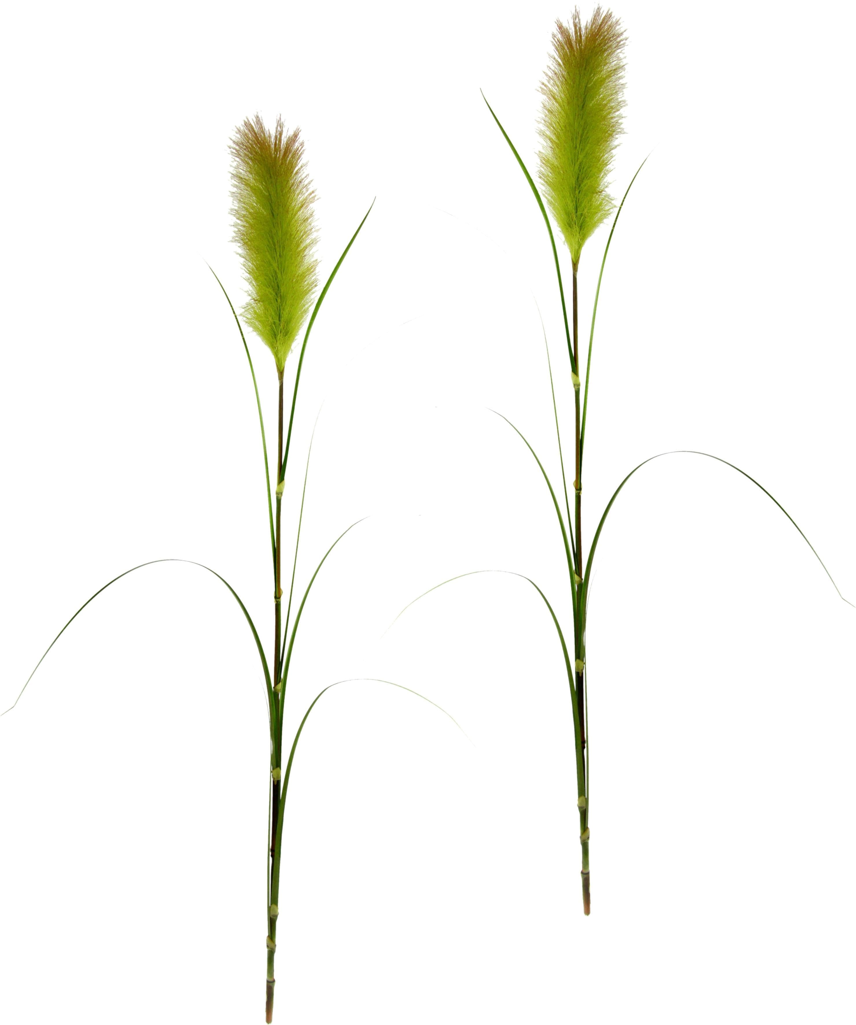 I.GE.A. Kunstpflanze Pampas Grün 2er Set Boho