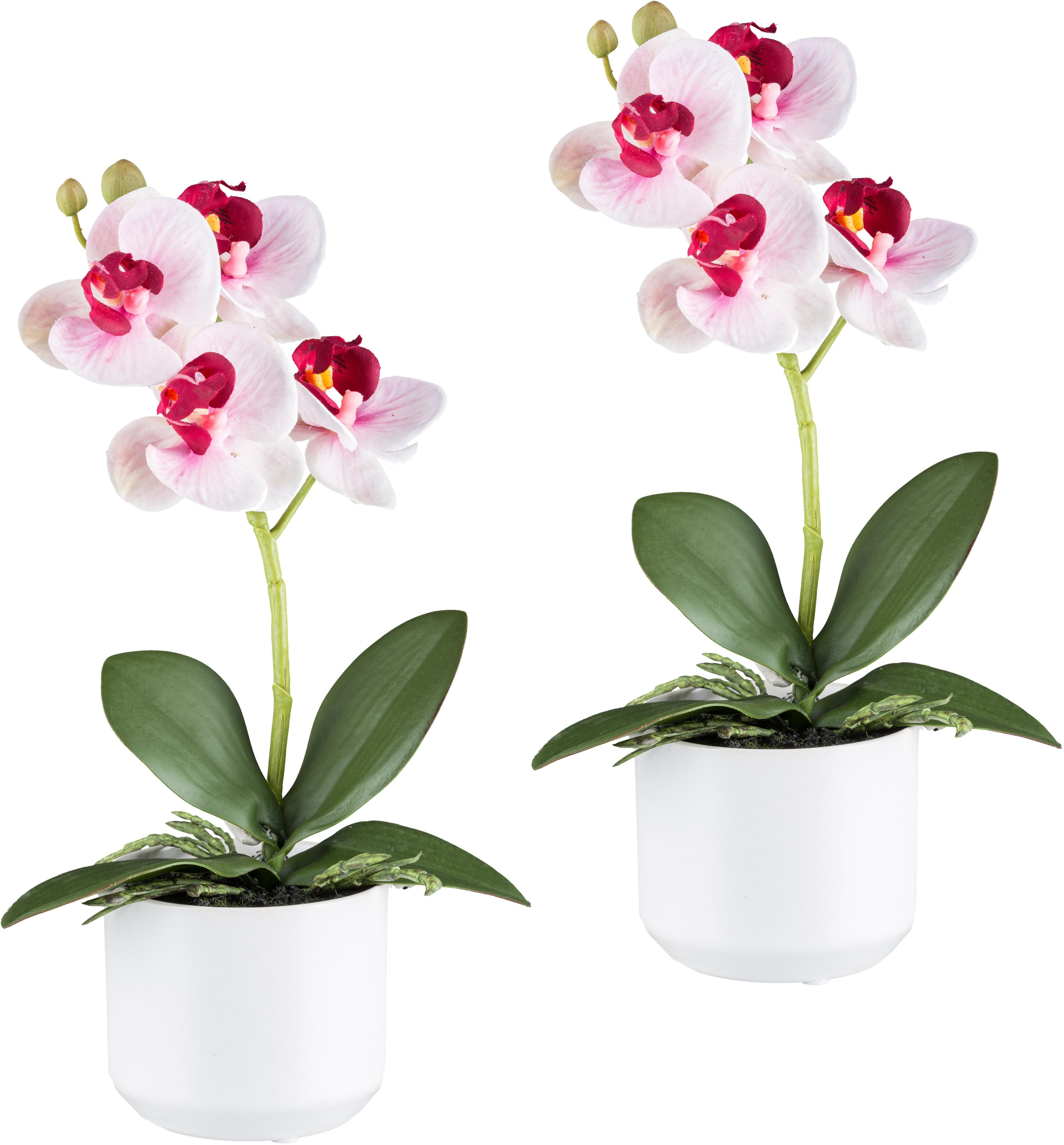 Creativ Green Kunstorchidee Phalaenopsis 2er Set Rosa Weiß