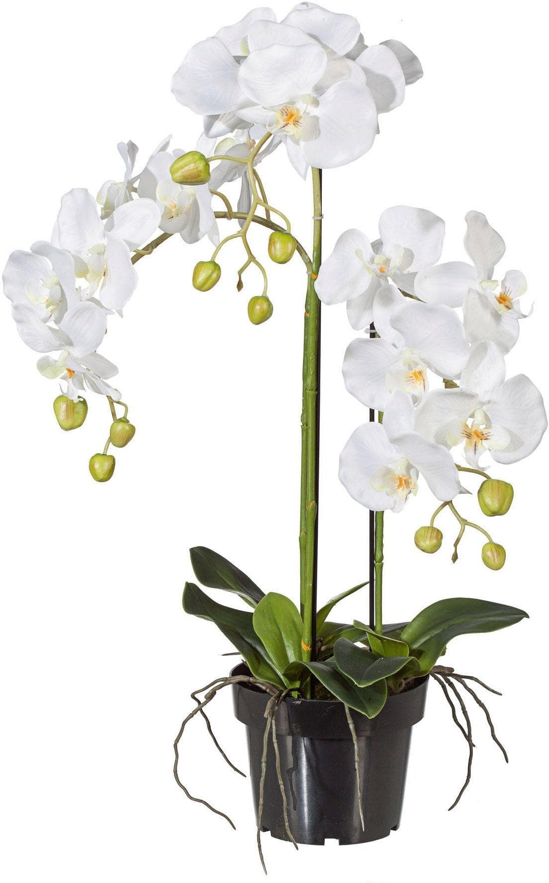 Kunstorchidee Phalaenopsis von Creativ Green - Dekorative Kunstpflanze