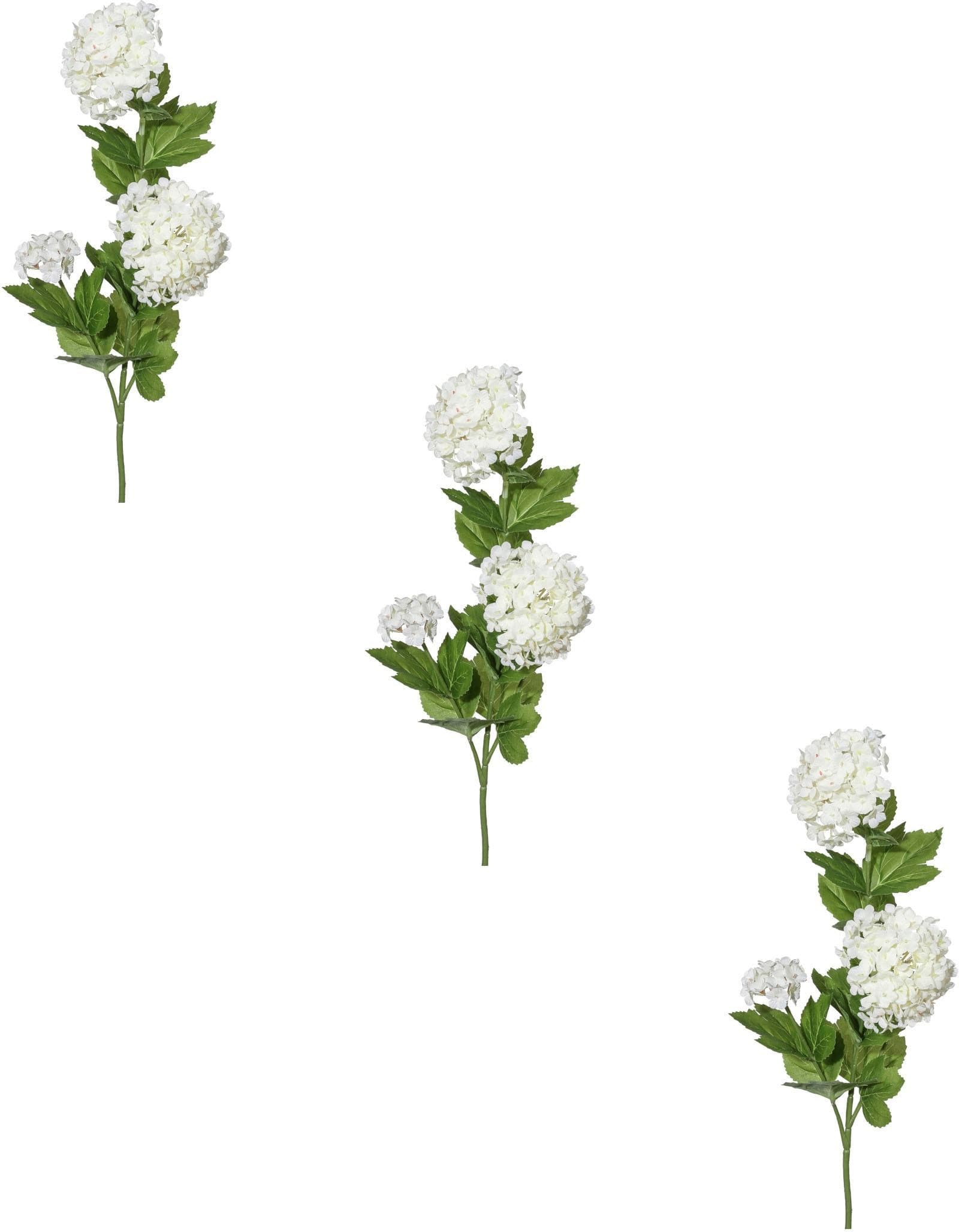 CREATIV GREEN Schneeballzweig Kunstblume 3er Set Beige Creme