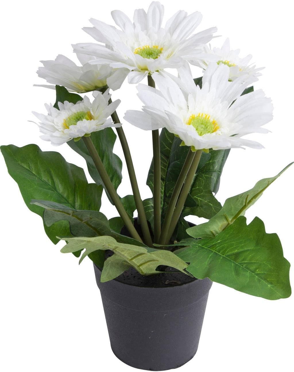 BOTANIC-HAUS Kunstblume Gerbera 5 Blüten Beige Weiß