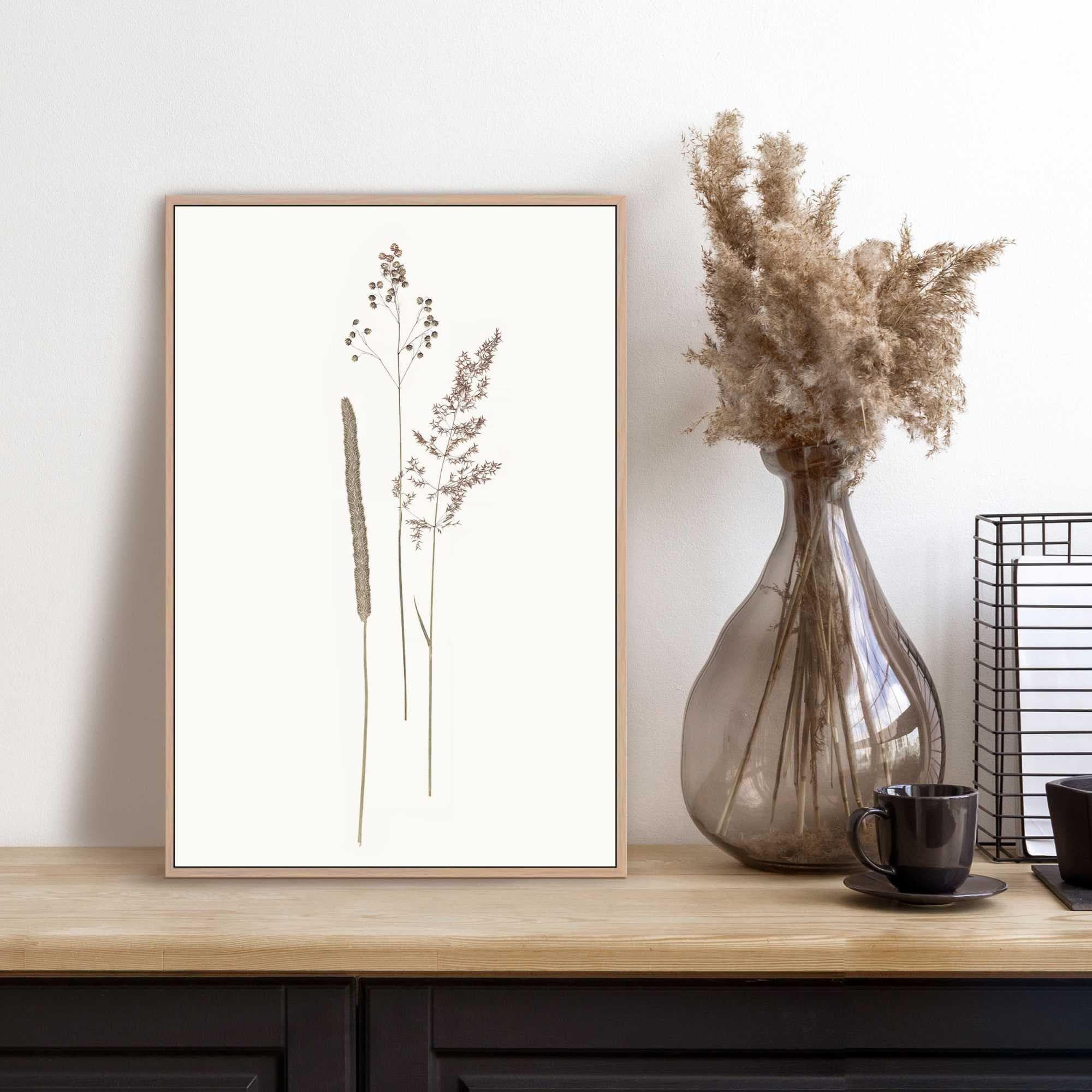 REINDERS Bild mit Rahmen Dried Flowers Beige