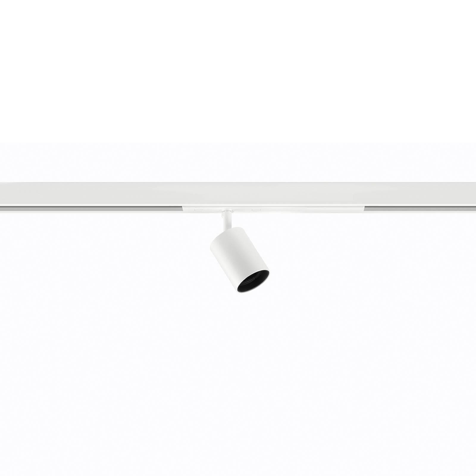 Ivela Schienenspot Nanoperfetto, weiß, DALI 48 V 38° 3.000 K