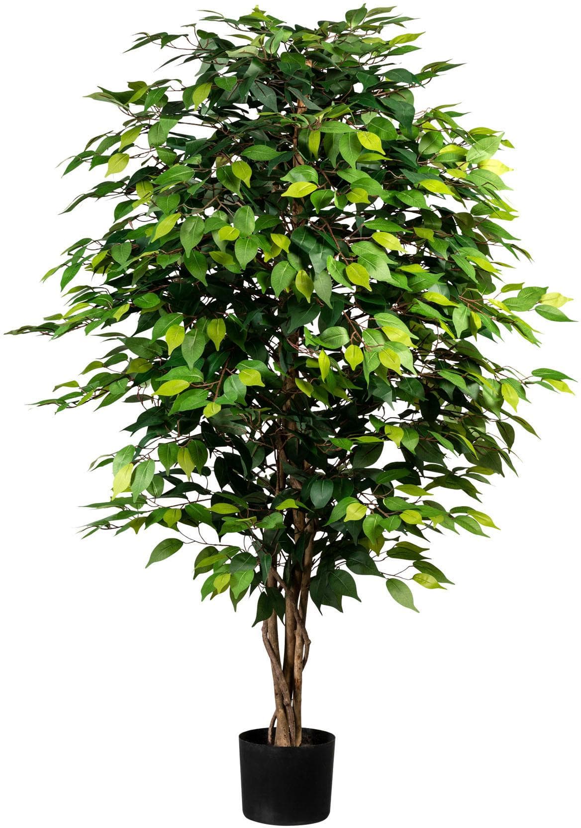 Kunstpflanze Ficus Benjamini von Creativ Green - Grünes Kunststoff-Polyester Design