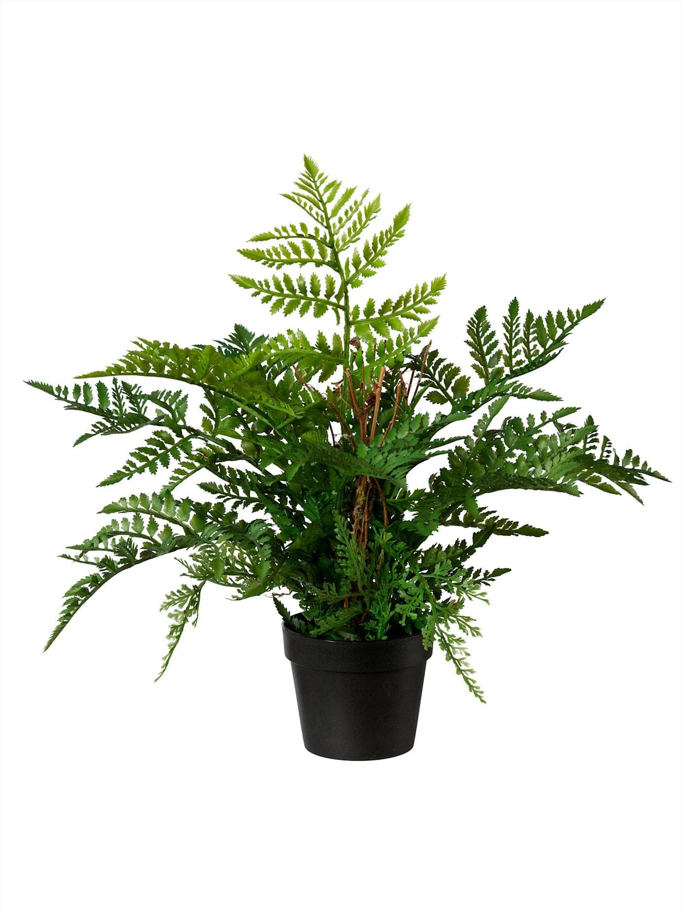 Kunstpflanze GASPER Farn Grün 35x45x35 cm Kunststoff