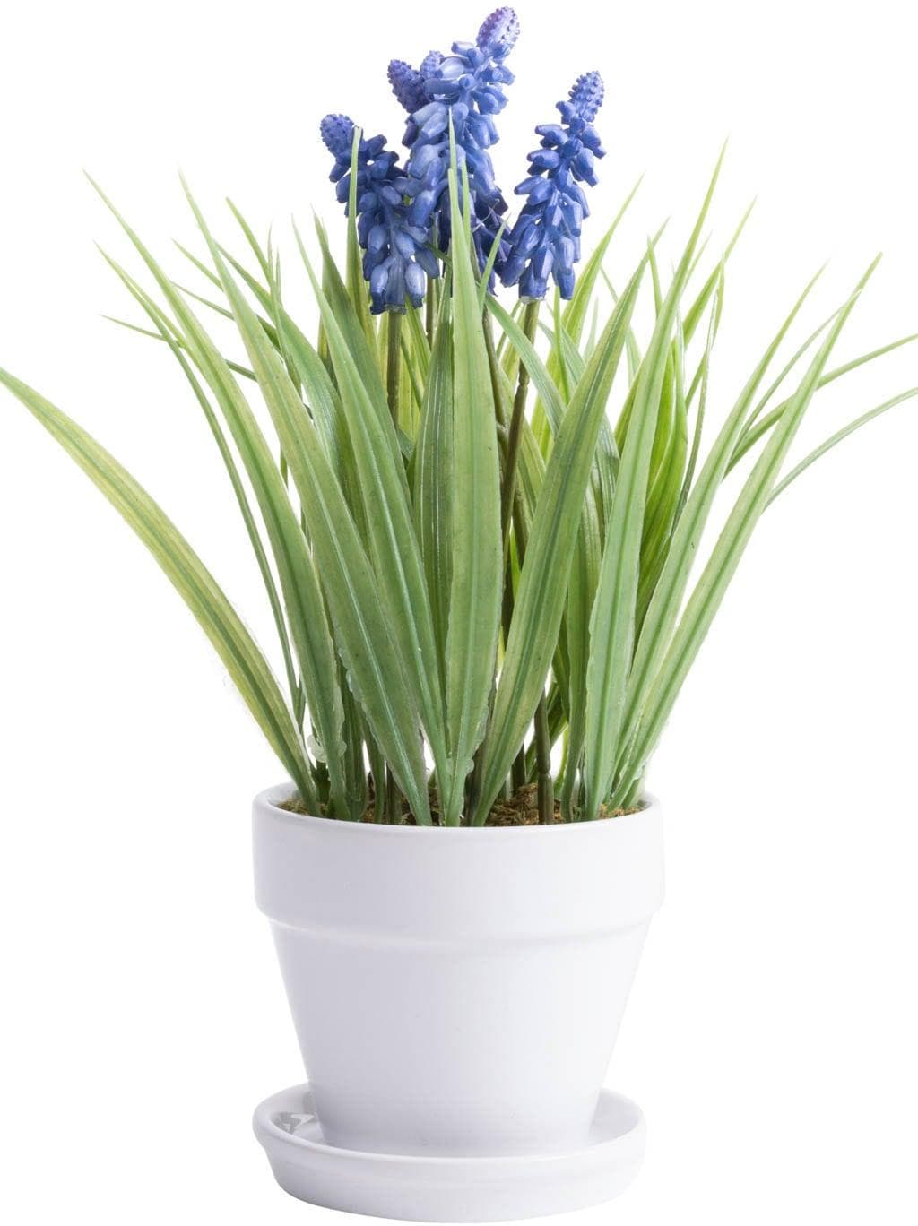 BOTANIC-HAUS Kunstblume Muskari Getopft Lila-Blau Kunststoff