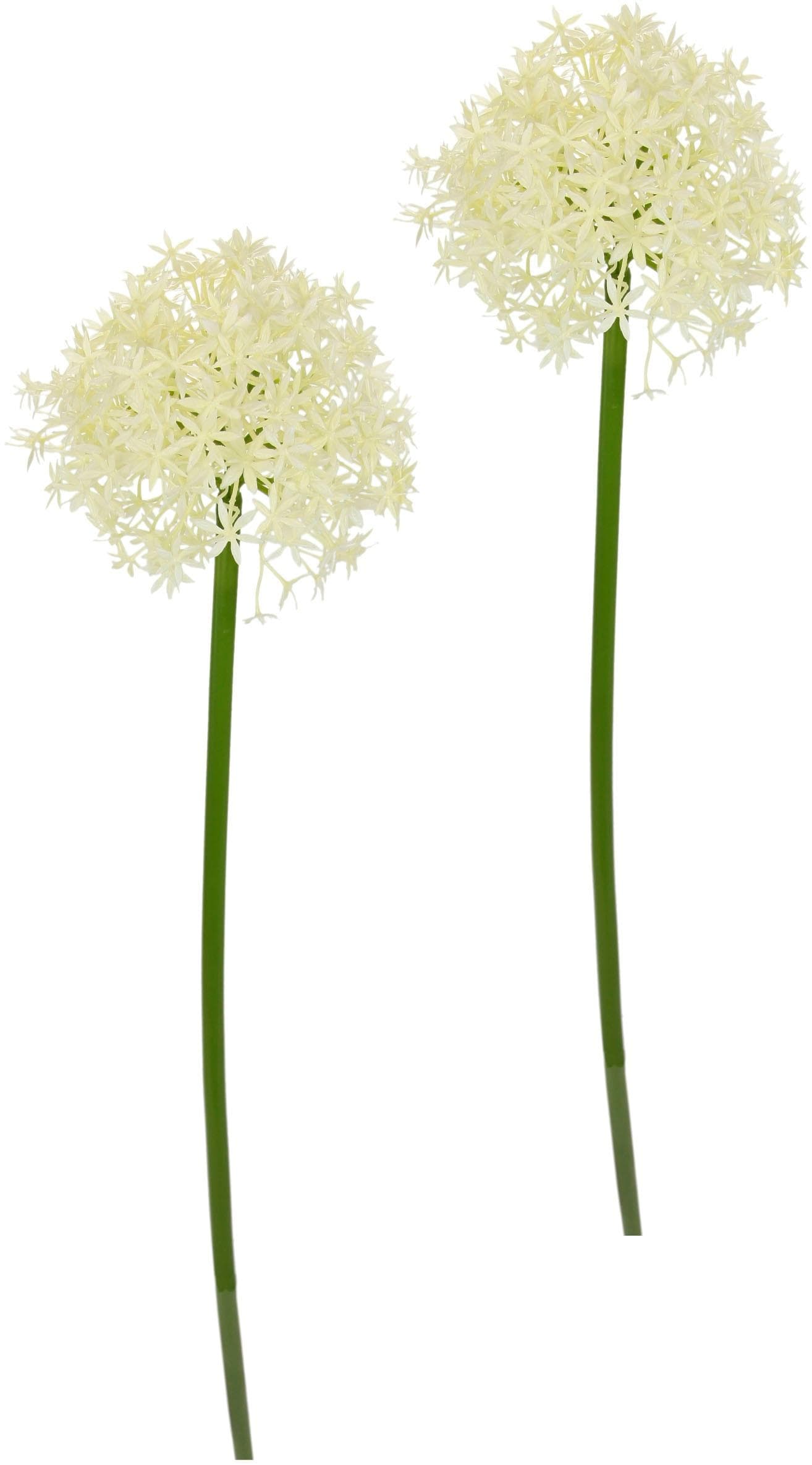 I.GE.A. Kunstblume Allium Zierlauch 2er Set Beige
