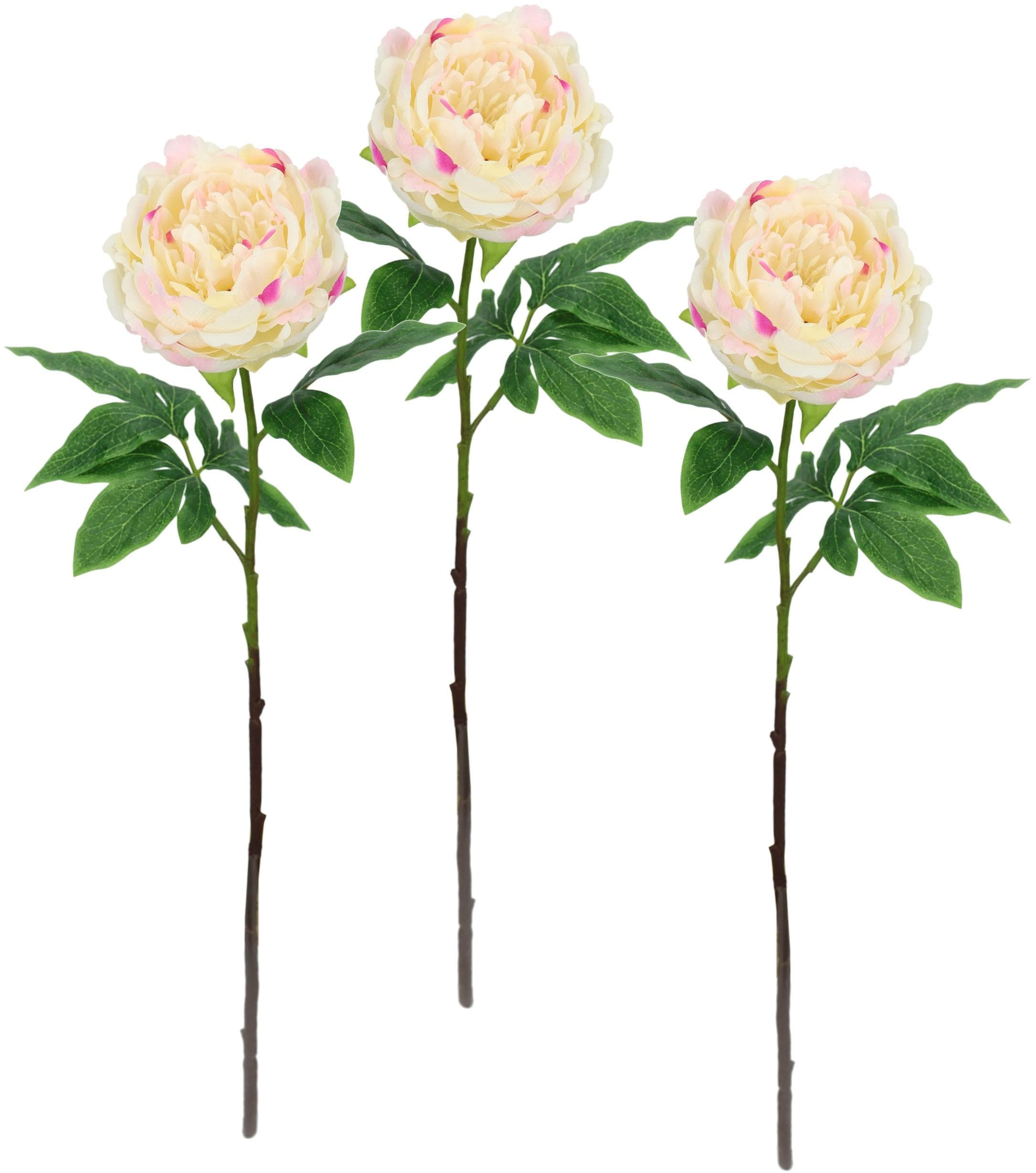 I.GE.A. Kunstblume Päonie Bauernrose - Elegantes 3er Set