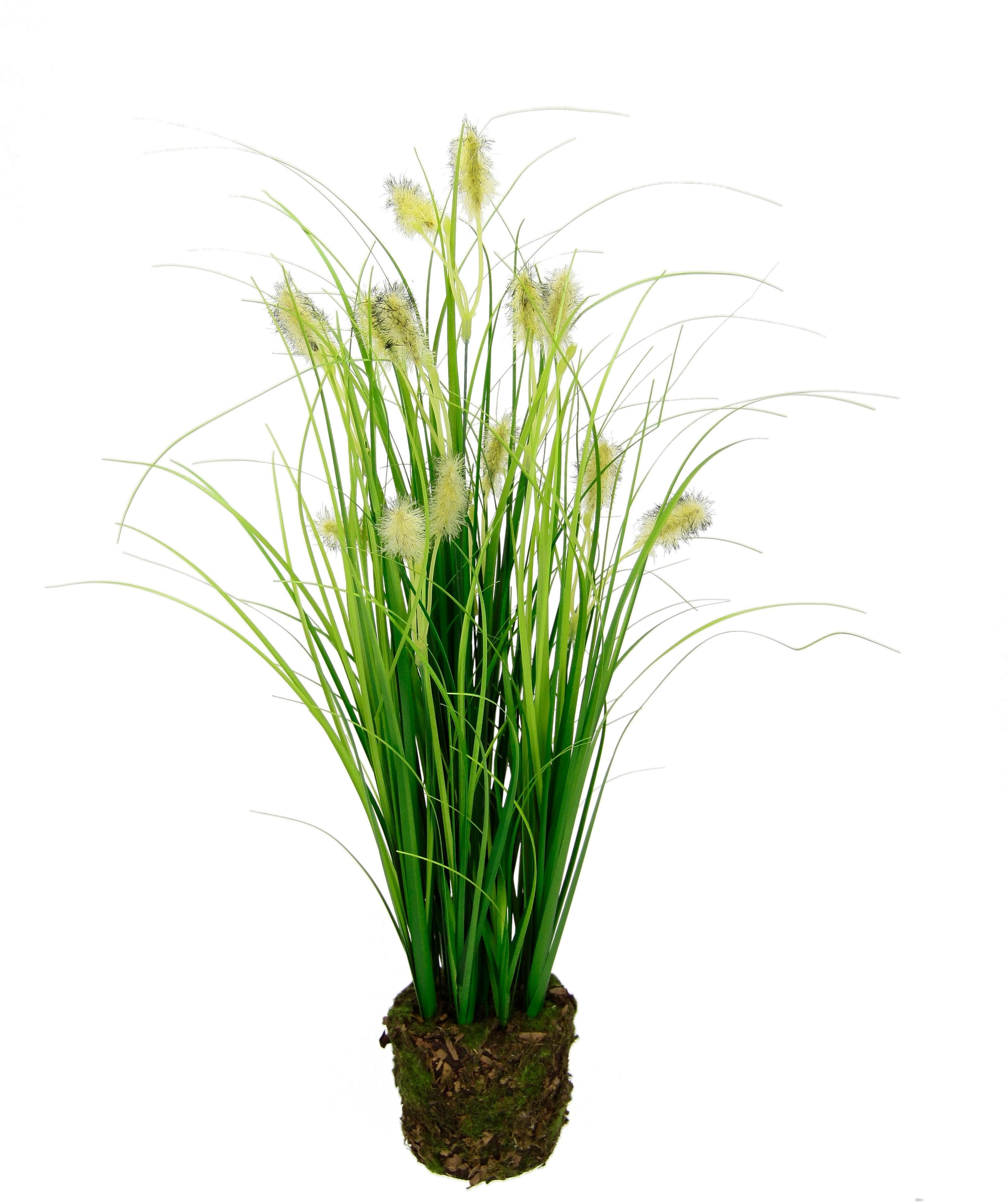 Kunstpflanze Fuchsschwanzgras im Erdtopf von I.GE.A.: Dekorativ & Pflegeleicht