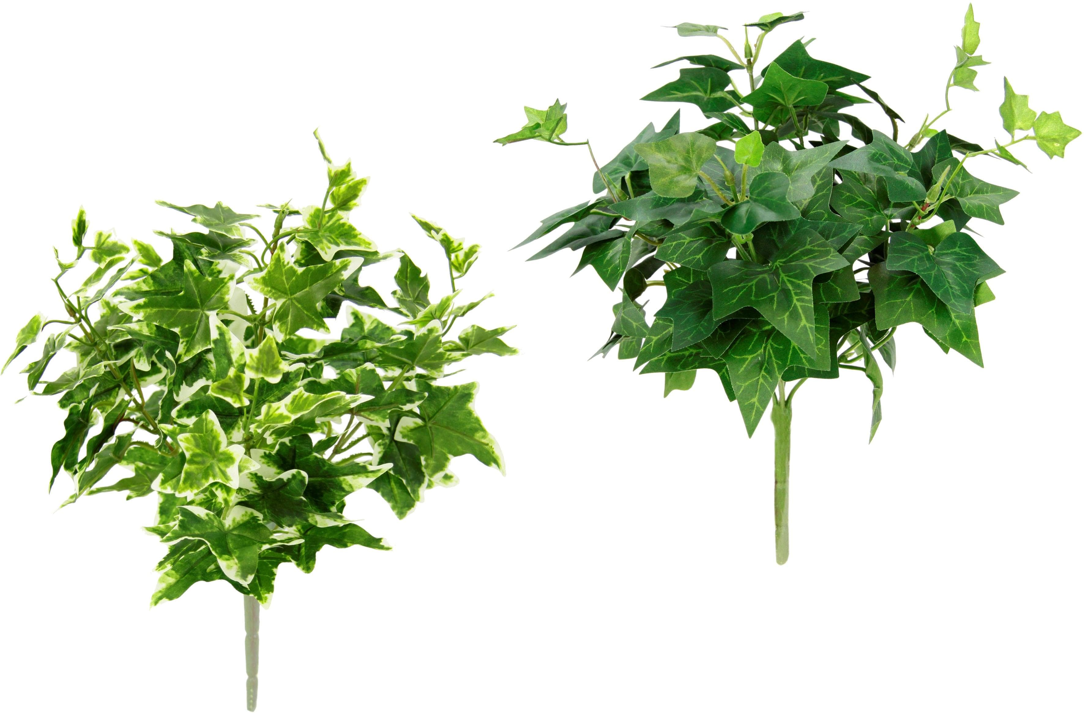 Kunstpflanze Efeu von I.GE.A.: Dekorativ & Pflegeleicht