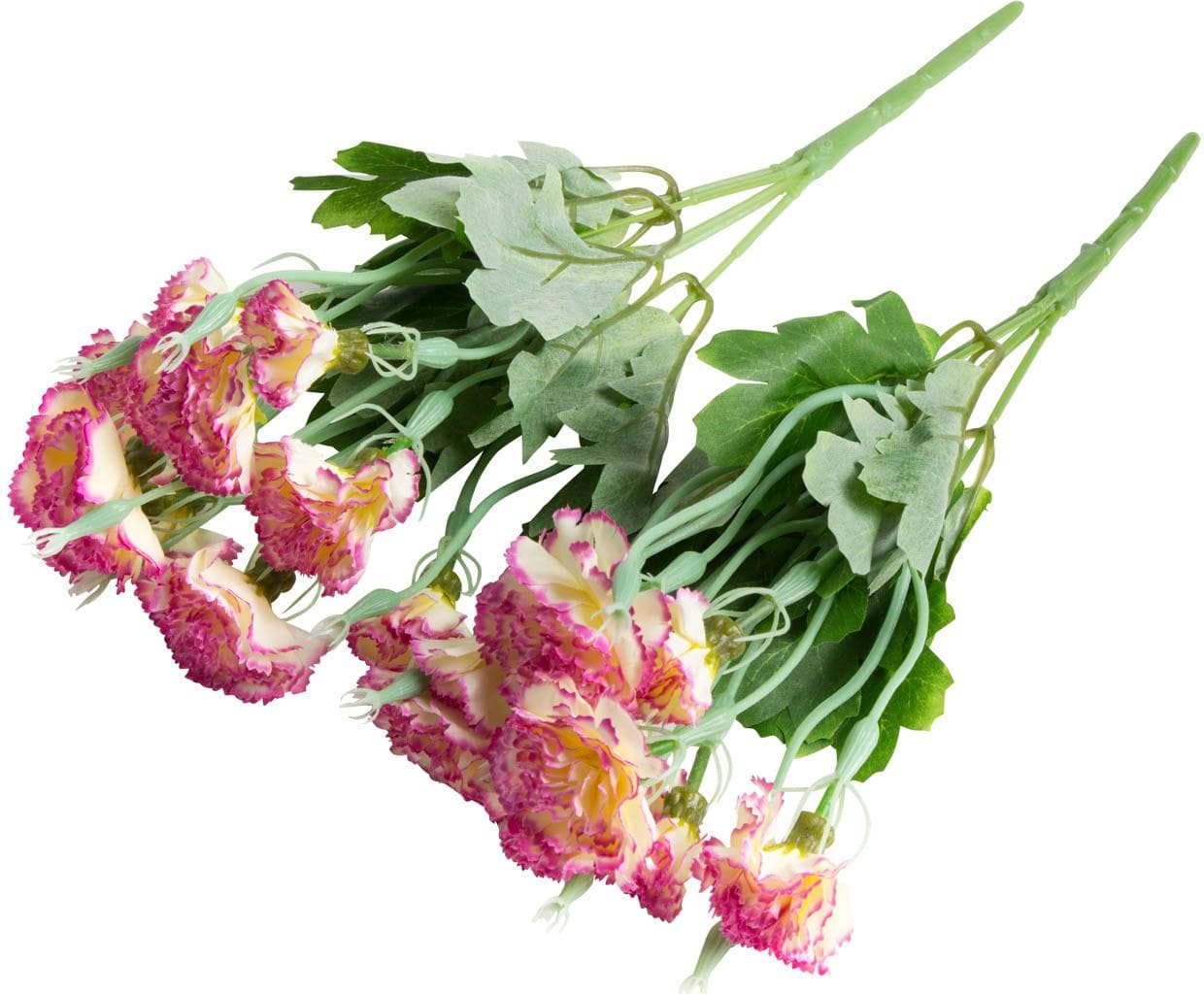 BOTANIC-HAUS Nelkenbusch Set Beige Creme Pink Kunststoff