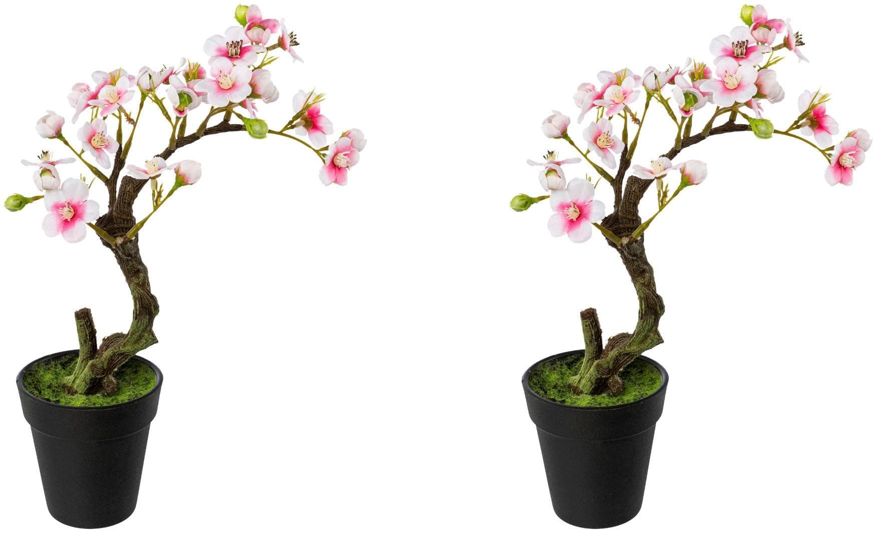 CREATIV GREEN Mandelblütenbonsai 2er Set Rosa