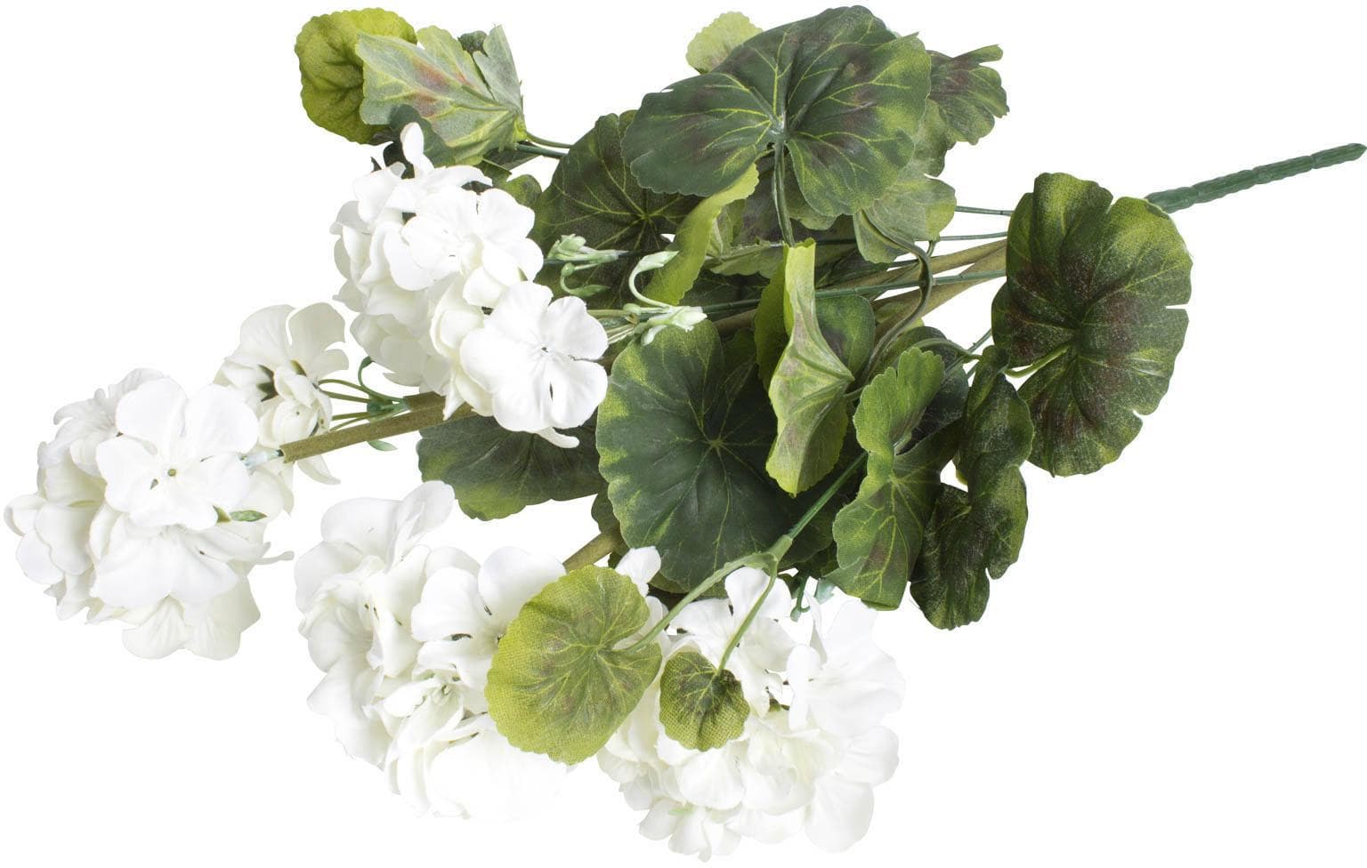 BOTANIC-HAUS Kunstblume Geranie 9 Stiele Beige/Weiß Kunststoff
