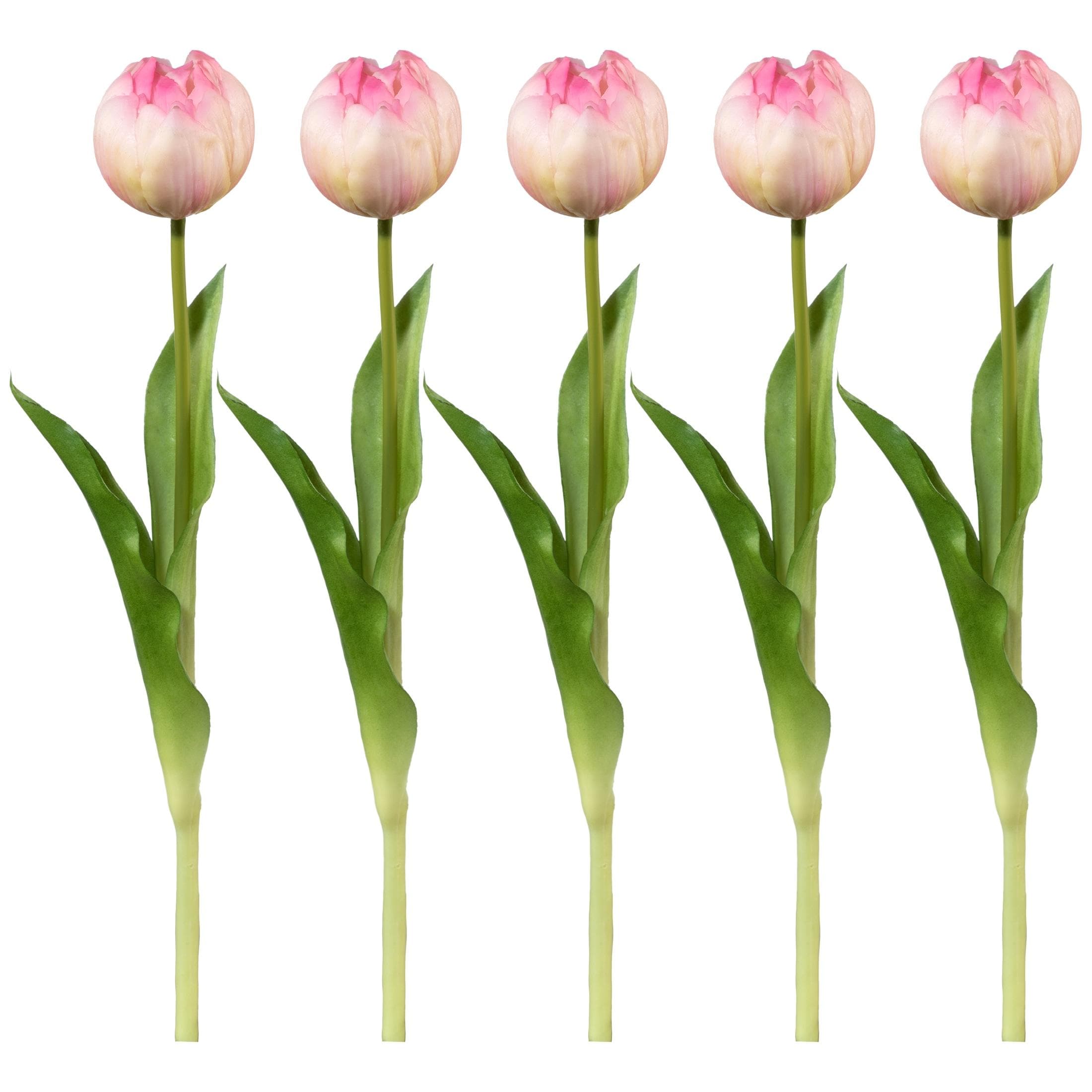 Creativ Green Kunsttulpe Set 5-tlg. Rosa Real-Touch