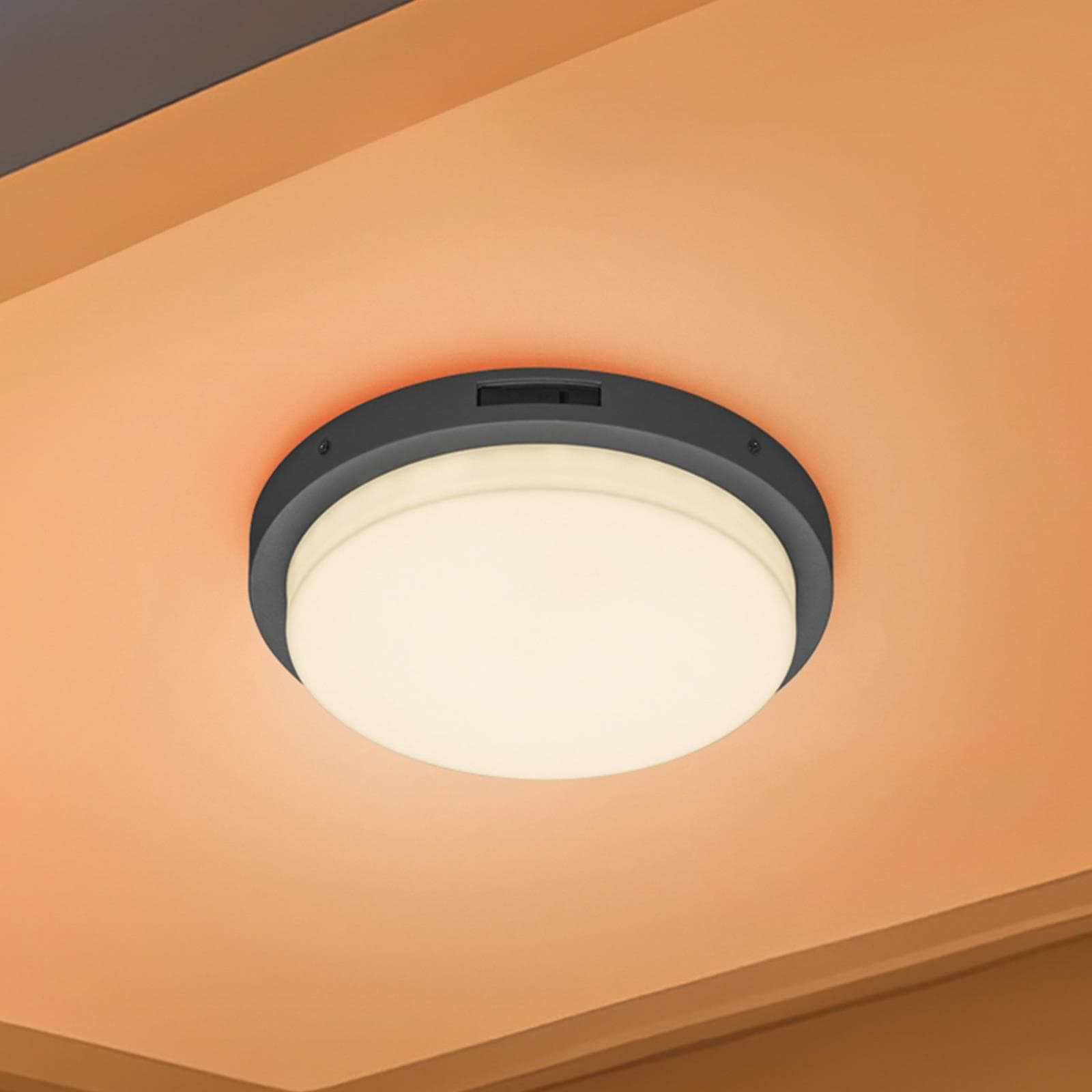 Trio LED-Außenwandleuchte Bermejo, rund, Sensor, CCT, anthrazit