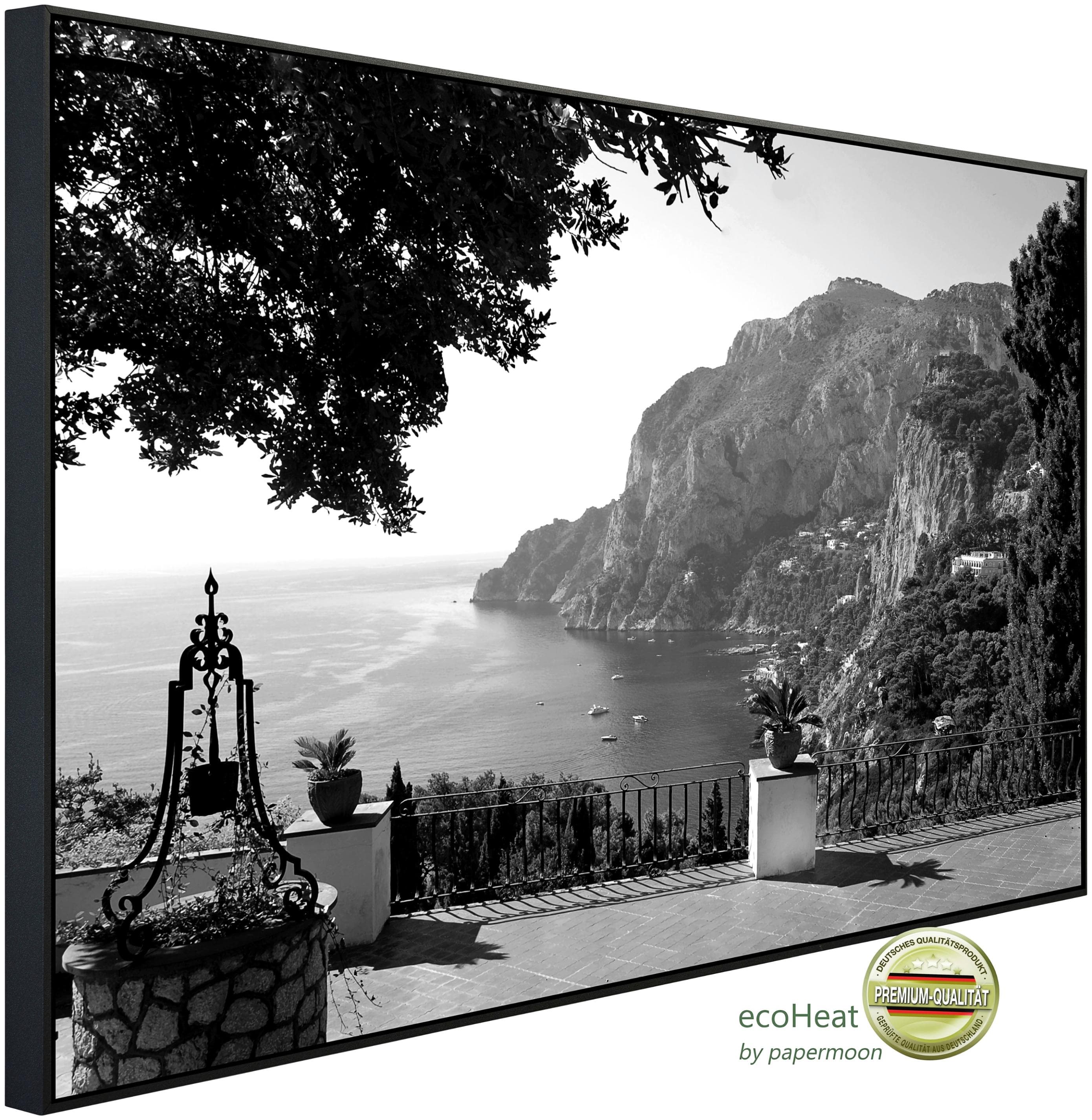 PAPERMOON Infrarotheizung Landschaft Schwarz & Weiß Kunstmotiv Aluminiumrahmen 1.200 W