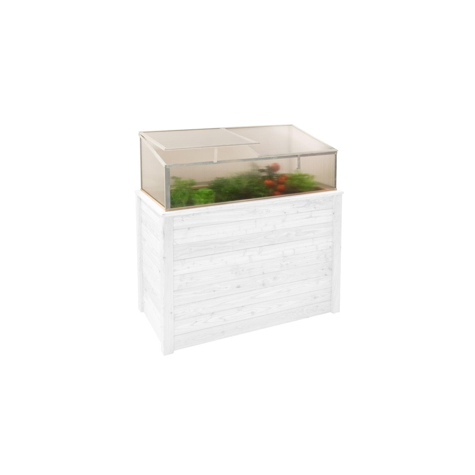 Westmann Frühbeetaufsatz Genus 100 Silber Aluminium