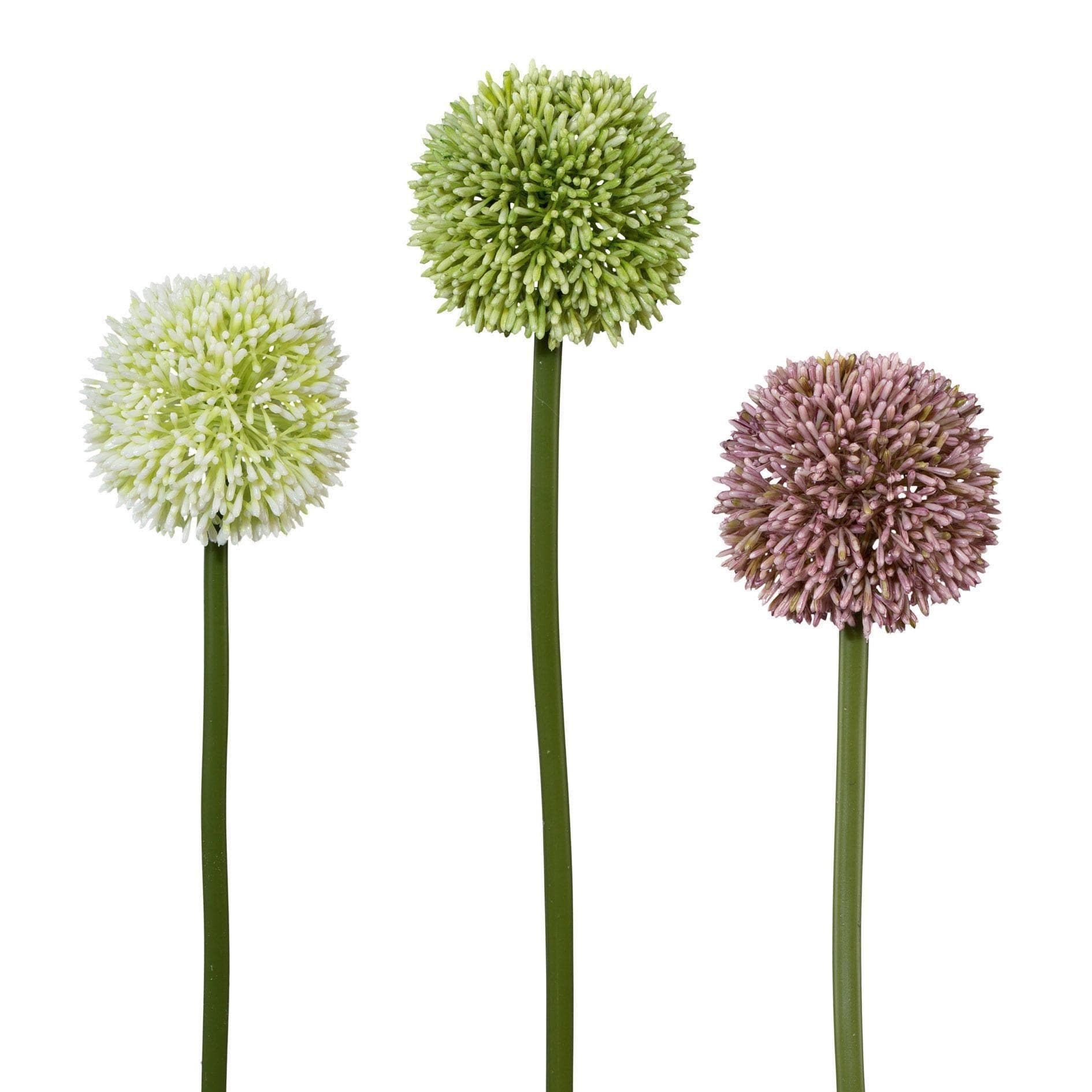 Creativ Green Allium Kunstblume Bunt - Hochwertige Kunststoffblumen mit Übertopf