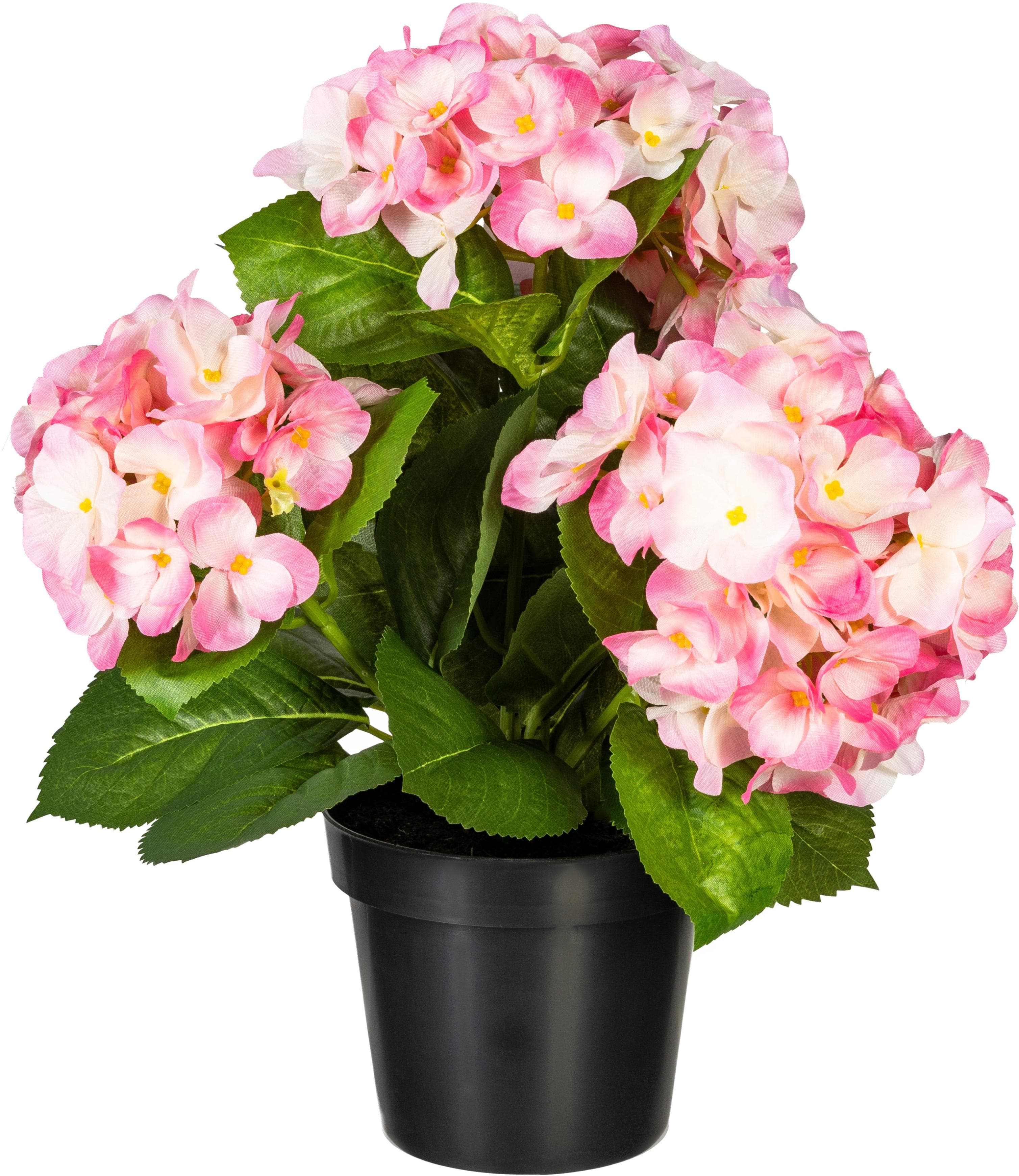 Kunstpflanze Hortensienbusch von Creativ Green: Dekorativ und Pflegeleicht